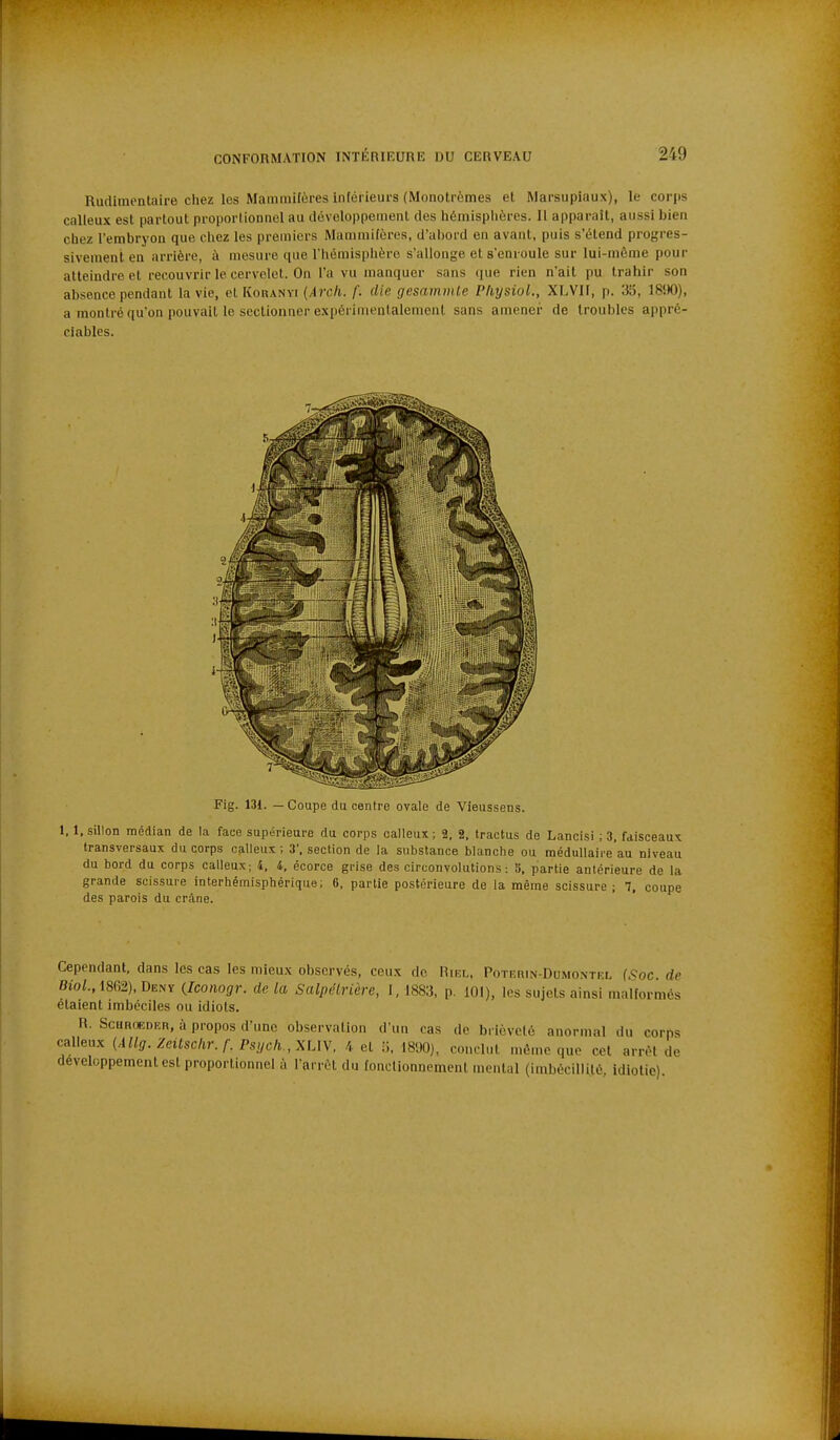 Rudimentaire chez les Mammifères inférieurs (Monotrèmes et Marsupiaux), le corps calleux est partout proportionnel au dévoloppeinent des hémisphères. Il apparaît, aussi bien chez l'embryon que chez les premiers Mammifères, d'abord en avant, puis s'étend progres- sivement en arrière, à mesure que l'hémisplièrc s'allonge et s'enroule sur lui-même pour atteindre et recouvrir le cervelet. On l'a vu manquer sans (]ue rien n'ait pu trahir son absence pendant la vie, et Koranyi (ylrc/i. f. die gesammie Physiol., XLVll, p. 35, 18tK)), a montré qu'on pouvait le sectionner e.\périmenlalement sans amener de troubles appré- ciables. Fig. 131. — Coupe du centre ovale de Vieussens. 1. 1, sillon médian de la face supérieure du corps calleux ; 2. 2, tractus de Lancisi ; 3, faisceaux transversaux du corps calleux; 3', section de la substance blanche ou médullaire au niveau du bord du corps calleux; 4, 4, écorce grise des circonvolutions: b, partie antérieure de la grande scissure interhémisphérique; 6, partie postérieure de la même scissure ; 7, coupe des parois du crâne. Cependant, dans les cas les mieux observés, ceu.\ de Rikl, Potiîrin-Dumontel (Soc. de BioL,m2), Deny ilconogr. de la Salpélrière, 1,1883, p. 101), les sujets ainsi malformés étaient imbéciles ou idiots. R. ScuROKDER, à propos d'une observation d'un cas de brièveté anormal du corps calleux (Allg. Zeitschr.f.Psych., XLiy. 4 et îî. 1890), conclut même que cet arrêt de développement est proportionnel à l'arrêt du fonctionnement mental (imbécillité, idiotie)