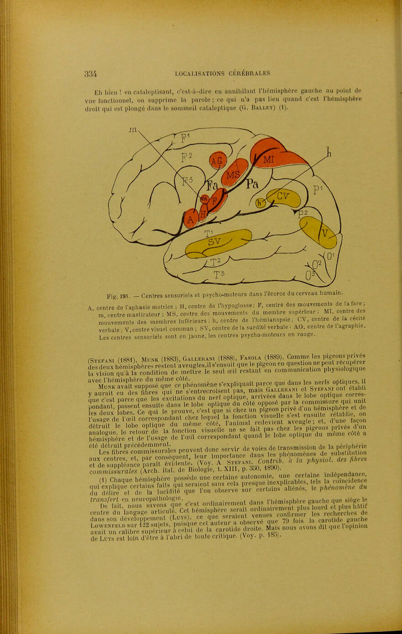 Eli bien ! on cutalciilisanl, c'esl-à-dire en anniliLlanI, l'iidmisphère gauche au point de vue fonclionnel, on supprime la parole ; ce qui n'a pas lieu quand c'est l'héniispiière droit qui est plongé dans le sommeil cataleptique (G. Ballf.t) (1). JIlv Fig. 196. — Centres sensoriels et psycho-moteurs dans l'écorce du cerveau humain. centre de l'aphasie motrice ; H. centre de l'hypoglosse; F, centre des mouvements de la face; m centre masticateur ; MS, centre des mouvements du membre supérieur; MI. centre des mouvements des membres inférieurs ; h, centre de l'hémianopsie ; CV. centre de la cecite verbale • V.centre visuel commun ; SV. centre de la surdité verbale ; AG. centre de 1 agraphie. Les centres sensoriels sont en jaune, les centres psycho-moteurs en rouge. fSTEFANi (mi) MoNK (1883), Gallerani (1888), Fasola (1889). Comme les pigeons privés Le c'est „rc6 flue S 2°cllaUonstl» „«l opUque, arrtvéos.daDS le lobe «P'';» eHsœi™^:!'i.';;»'v.ii?.rei-ef;rp-:s^^^ commissicrales (Arch. liai, de Biologie, t. XIII, p. 3o0, 18J0). .n^^n^ndance (1) Chaque hémisphère J^^-^ ^^^^ «^-^^ îaS^ ;ru'dé£rel''d?'lT luddi^'rque'roL'obLrve ^ur Urlains^aliénés, le pkéno,.ène ''Te^'ait''U^'s''sSvons''îùe c'est ordinairement dans l'hémisphère gauche que si^àge le ue idii, nous S'ivo is >4 hAmisnhère serait ord na remenl plus lourd et plus hAtit centre du langage «i-l'Ç^,^',,^,^ '^.'^^^^^^ venues confirmer les recherches de dans son développement (Lu^s). ce que '''J^^^'l' na foi» la carotide irauche LovvKN.BU, sur 122 sujets P'-^^'/^^^ ^^'l^^^l,^^^ ZI non !nons dit ?,ue l'o^Muion avait un calibre supérieur a celui de la caioimc uiorl i a de Luvs est loin d'être à l'abri de toute critique. (Voj. p.