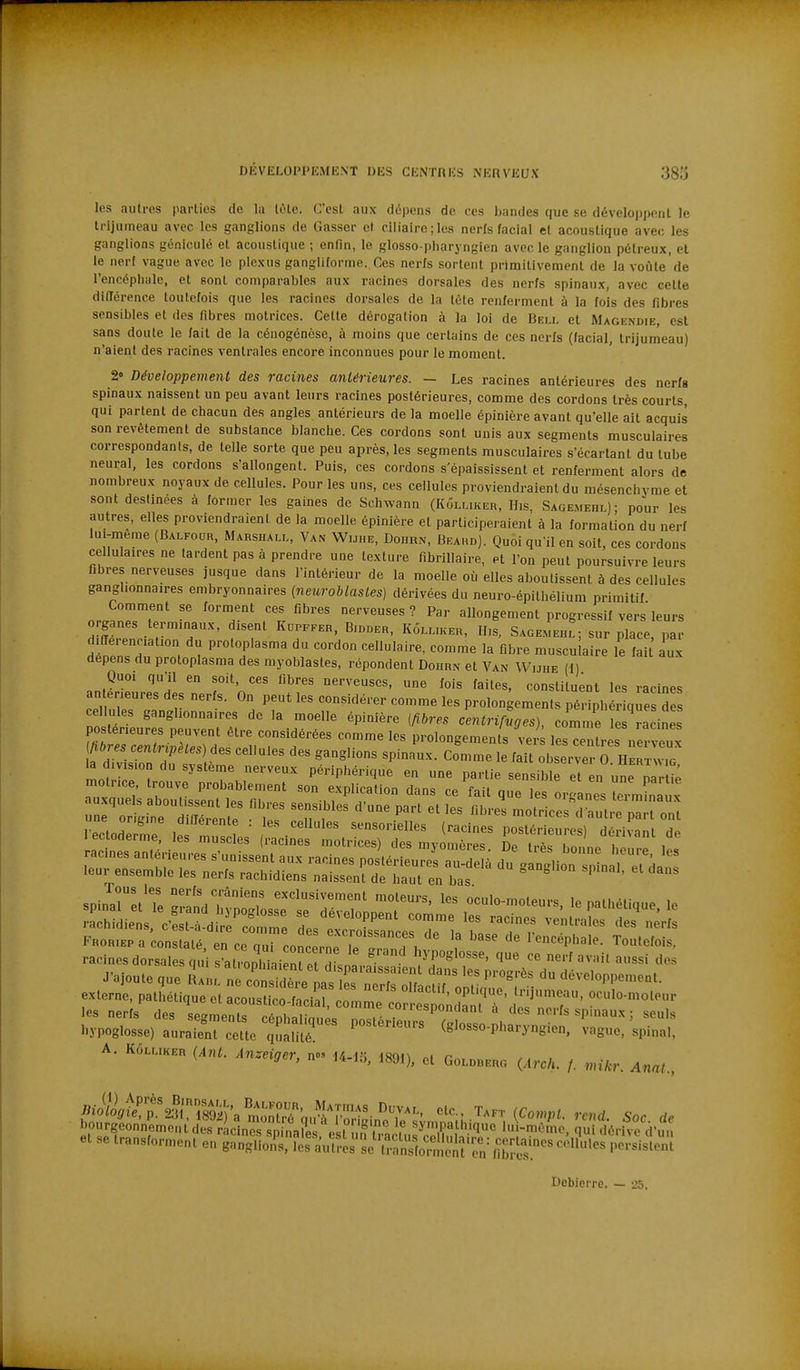 les autres parties de la tôte. C'est aux dépens de ces bandes que se développent le trijumeau avec les ganglions de Casser et ciliaire;les nerfs facial et acoustique avec les ganglions géniculé et acoustique ; enlin, le glosso pharyngien avec le ganglion pétreux, et le nert vague avec le plexus gangliforme. Ces nerfs sortent primitivement de lavoùle'de l'encépliale, et sont comparaliles aux racines dorsales des nerfs spinaux, avec cette différence toutefois que les racines dorsales de la tète renferment à la fois des fibres sensibles et des fibres motrices. Cette dérogation à la loi de Bell et Magendie, est sans doute le fait de la cénogénèse, à moins que certains de ces nerfs (facial, trijumeau) n'aient des racines ventrales encore inconnues pour lo moment. 2» Développement des racines antérieures. — Les racines antérieures des nerfs spinaux naissent un peu avant leurs racines postérieures, comme des cordons très courts, qui partent de chacun des angles antérieurs de la moelle épinière avant qu'elle ait acquis son revêtement de substance blanche. Ces cordons sont unis aux segments musculaires correspondants, de telle sorte que peu après, les segments musculaires s'écartant du tube neural, les cordons s'allongent. Puis, ces cordons s'éi)aississent et renferment alors de nombreux noyaux de cellules. Pour les uns, ces cellules proviendraient du mésenchyme et sont destinées à former les gaines de Schwann (KoLLiicEn, His, Sage.mebl); pour les autres, elles proviendraient de la moelle épinière et participeraient à la formation du nerf lui-même (Balfour, Marshall, Van Wu„e, Dohrn, Beahd]. Quoi qu'il en soit, ces cordons cellulaires ne tardent pas à prendre une texture f.briUaire, et l'on peut poursuivre leurs fibres nerveuses jusque dans l'intérieur de la moelle où elles aboutissent à des cellules ganglionnaires embryonnaires (netiroblastes) dérivées du neuro-épilhélium primitif on^^rT' ^°'T' nerveuses? Par allongement progressif vers leurs organes terminaux, disent Kopffer, B.ooer, KÔlliker, H,s, Sagemehl; sur place, par d.Herenciation du protoplasma du cordon cellulaire, comme la fibre musculaire le lait aux dépens du protoplasma des myoblasles, répondent Dohrn et Van Wuhe (1) Quoi qu'il en soit, ces fibres nerveuses, une fois faites, constituent les racines an eneuresdes nerfs. On peut les considérer comme les prolongements périph - q^e ; lfs:^uT:tlZTl ''.r''' ''^'''^ '^^'-^ <^entril^'Ses), comme LZlinTs fCrc; i I 1^ prolongements vers les centres nerveux - .angiir--: et dJ:: FRORiEP a constaté Tn ceTr concnrn r Tencéphale. Toutefois, hypoglosse) auraient cette qualité ^glosso-phaiyngien, vague, spinal, A. KÔLLIKER ÇAnt. Anzeiger, no, U-io, 1891). et Goloberc. (.,rc/. /. vnkr. AnaL, et se transforment en ganglioiis, les a\ures se l^Sormènt'c^^^ Debierrc. — 25.