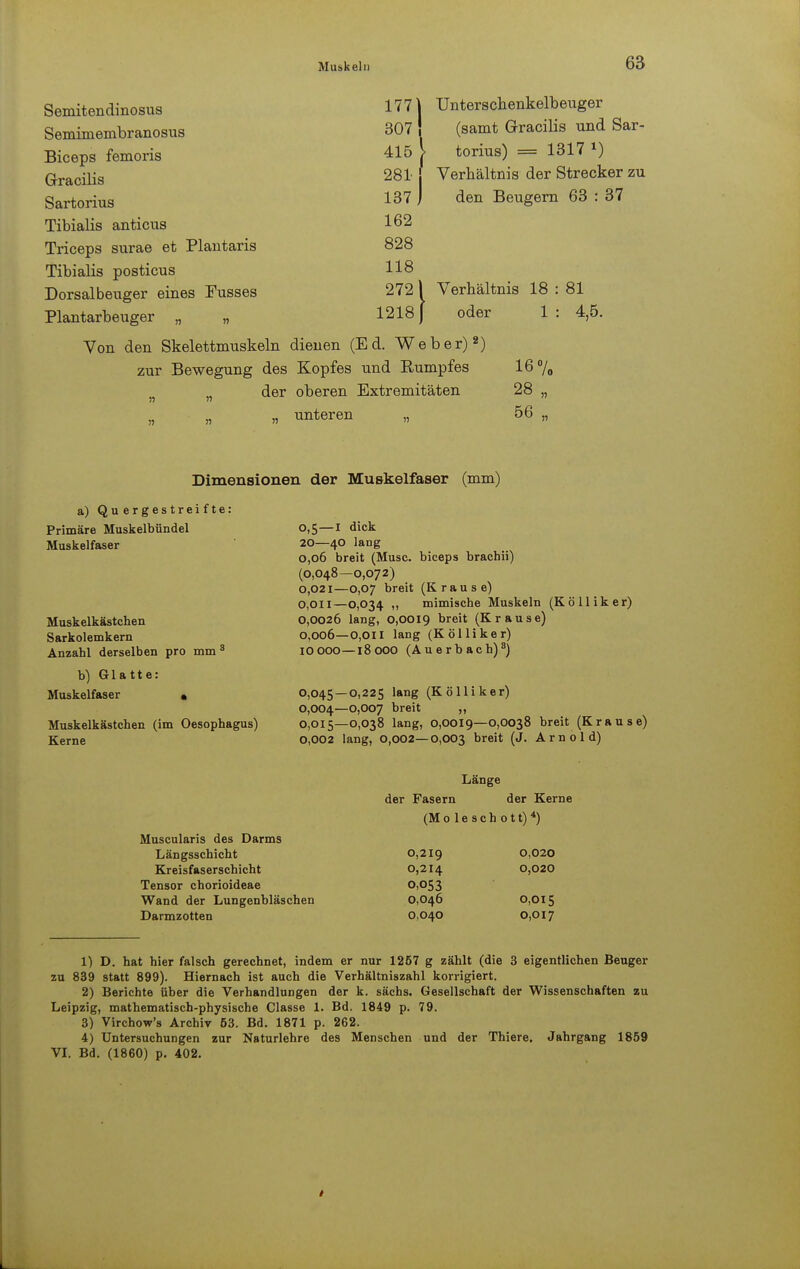 Muskeln Semitendinosus Semimembranosus Biceps femoris Gracilis Sartorius Tibialis anticus Triceps surae et Plantaris Tibialis posticus Dorsalbeuger eines Fusses Plantarbeuger „ „ Von den Skelettmuskeln zur Bewegung des der 177 \ Unterscbenkelbeuger 307 i (samt Gracilis und Sar- torius) = 1317 i) Verbältnis der Strecker zu den Beugern 63 : 37 } 415 281 j 137 ) 162 828 118 2721 1218] dienen (Ed. Weber)2) Kopfes und Rumpfes oberen Extremitäten unteren „ Verbältnis oder 18 1 16% 28 „ 56 „ 81 4,5. Dimensionen der Muskelfaser (mm) a) Quergestreifte: Primäre Muskelbündel Muskelfaser Muskelkästchen Sarkolemkern Anzahl derselben pro mm 3 b) Glatte: Muskelfaser » Muskelkästchen (im Oesophagus) Kerne 0,5—I dick 20—40 lang 0,06 breit (Muse, biceps brachii) (0,048—0,072) 0,021—0,07 breit (Krause) 0,011—0,034 „ mimische Muskeln (Kölliker) 0,0026 lang, 0,0019 breit (Krause) 0,006—0,011 lang (Kölliker) 10000—18000 (Auerbach)3) 0,045 — 0,225 lang (Kölliker) 0,004—0,007 breit ,, 0,015—0,038 lang, 0,0019—0,0038 breit (Krause) o,002 lang, 0,002—0,003 breit (J. Arnold) Muscularis des Darms Längsschicht Kreisfaserschicht Tensor chorioideae Wand der Lungenbläschen Darmzotten Länge der Fasern der Kerne (Mo lesch ott)*) 0,219 0,214 0,053 0,046 0,040 0,020 0,020 0,015 0,017 1) D. hat hier falsch gerechnet, indem er nur 1257 g zählt (die 3 eigentlichen Beuger zu 839 statt 899). Hiernach ist auch die Verhältniszahl korrigiert. 2) Berichte über die Verhandlungen der k. sächs. Gesellschaft der Wissenschaften zu Leipzig, mathematisch-physische Classe 1. Bd. 1849 p. 79. 3) Virchow's Archiv 53. Bd. 1871 p. 262. 4) Untersuchungen zur Naturlehre des Menschen und der Thiere. Jahrgang 1859 VI. Bd. (1860) p. 402.