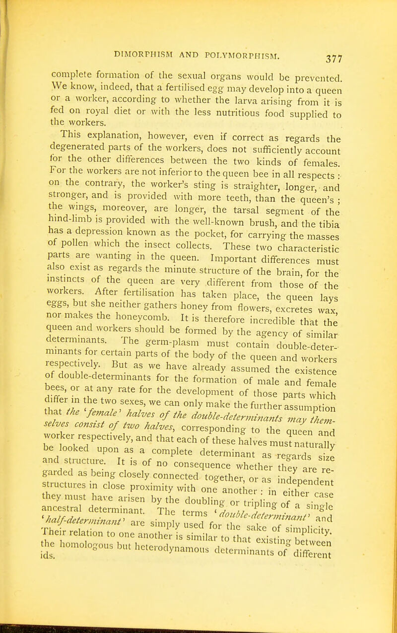 complete formation of the sexual organs would be prevented. We know, indeed, that a fertilised egg may develop into a queen or a worker, according to whether the larva arising from it is fed on royal diet or with the less nutritious food supplied to the workers. This explanation, however, even if correct as regards the degenerated parts of the workers, does not sufficiently account tor the other difterences between the two kinds of females. For the workers are not inferior to the queen bee in all respects ■ on the contrary, the worker's sting is straighter, longer, and stronger, and is provided with more teeth, than the queen's • the wings, moreover, are longer, the tarsal segment of the hind-hmb is provided with the well-known brush, and the tibia has a depression known as the pocket, for carrying the masses of pollen which the insect collects. These two characteristic parts are wanting in the queen. Important differences must also e.xist as regards the minute structure of the brain for the instincts of the queen are very different from those of the workers. After fertilisation has taken place, the queen lays eggs, but she neither gathers honey from flowers, excretes wax nor makes the honeycomb. It is therefore incredible that the queen and workers should be fomed by the agency of similar determinants. The germ-plasm must'contafn doVb e-d r Ld:?; ^'^ t wor4 s respectively. Bu as we have already assumed the existence of double-determinants for the formation of male and female bees, or at any rate for the development of those parts which differ in the two sexes, we can only make the further assun n ion that tke Ve^nale' kal.es of the Iu,le-,eter„:^^;^:;SZ selves consist of two halves, corresponding to the queen aTd worker respectively, and that each of these ifalves mus^aturaSv be looked upon as a complete determinant as regards s e and structure. It is of no consequence whether they are e garded as being closely connected together oris indL! V . structures in close proximity with one^ anothe : n dth'e - S they must have arisen by the doubling or trinlin^ of n V f ancestral determinant. The terms ^dZhil f ?^ ^'^ ^halfdetenninant^ are simp y u ed for t f^J T' . ^ Their relation to one another is s milS to l ! • ^P''^i'y- homologous but