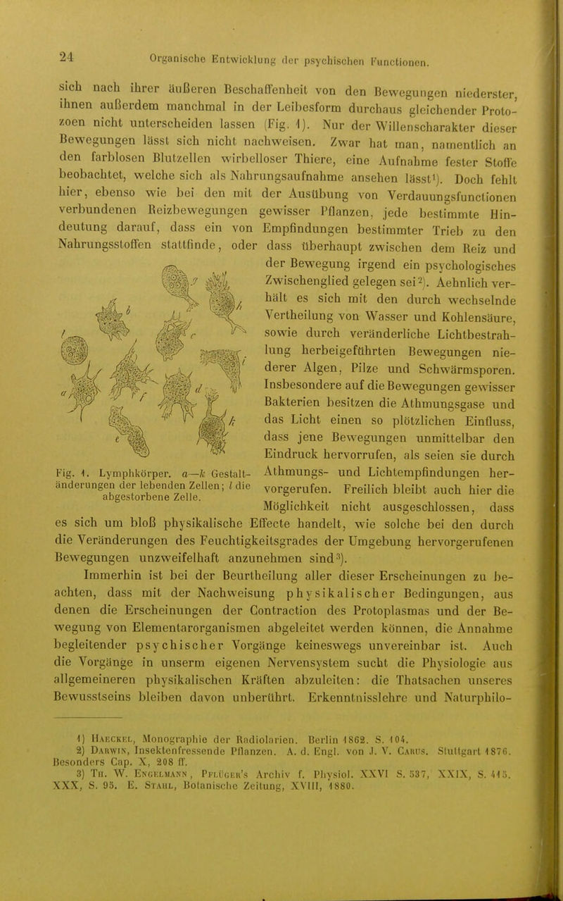 sich nach ihrer äußeren Beschaffenheit von den Bewegungen niederster, ihnen außerdem manchmal in der Leibesform durchaus gleichender Proto- zoen nicht unterscheiden lassen (Fig. 1). Nur der Willenscharakter dieser Bewegungen lässt sich nicht nachweisen. Zwar hat man, namentlich an den farblosen Blutzellen wirbelloser Thiere, eine Aufnahme fester Stoffe beobachtet, welche sich als Nahrungsaufnahme ansehen lässti). Doch fehlt hier, ebenso wie bei den mit der Ausübung von Verdauungsfunctionen verbundenen Eeizbewegungen gewisser Pflanzen, jede bestimmte Hin- deutung darauf, dass ein von Empfindungen bestimmter Trieb zu den Nahrungsstoffen stattfinde, oder dass überhaupt zwischen dem Reiz und der Bewegung irgend ein psychologisches Zwischenglied gelegen sei 2). Aehnlich ver- hält es sich mit den durch wechselnde Vertheilung von Wasser und Kohlensäure, sowie durch veränderliche Lichtbestrah- lung herbeigeführten Bewegungen nie- derer Algen, Pilze und Schwärmsporen. Insbesondere auf die Bewegungen gewisser Bakterien besitzen die Athmungsgase und das Licht einen so plötzlichen Einfluss, dass jene Bewegungen unmittelbar den Eindruck hervorrufen, als seien sie durch Athmungs- und Lichtempfindungen her- vorgerufen. Freilich bleibt auch hier die Möglichkeit nicht ausgeschlossen, dass es sich um bloß physikalische Effecte handelt, w'ie solche bei den durch die Veränderungen des Feuchtigkeitsgrades der Umgebung hervorgerufenen Bew'egungen unzweifelhaft anzunehmen sind'^). Immerhin ist bei der Beurtheilung aller dieser Erscheinungen zu be- achten, dass mit der Nachweisung physikalischer Bedingungen, aus denen die Erscheinungen der Contraction des Protoplasmas und der Be- wegung von Elementarorganismen abgeleitet werden können, die Annahme begleitender psychischer Vorgänge keineswegs unvereinbar ist. Auch die Vorgänge in unserm eigenen Nervensystem sucht die Physiologie aus allgemeineren physikalischen Kräften abzuleiten: die Thatsachen unseres Bewusstseins bleiben davon unberührt. Erkenntnisslehre und Naturphilo- Fig. Lymphkörper. o—k Gestalt- änderungen der lebenden Zellen; l die abgestorbene Zelle. 1) Haeckfx, Monographie der Radiolarien. Berlin 4 862. S. 104. 2) Darwin, Insektenfressende Pflanzen. A. d. Engl, von .1. V. Cauus. SluKgarl 1876. Besonders Cap. X, 208 fl'. 3) Tu. W. Engelmann, Pflügeu's Archiv f. Physiol. XXVI S. 537, XXIX, 5.415. XXX, S. 93. E. Stahl, Botanische Zeitung, XVIII, 1880.
