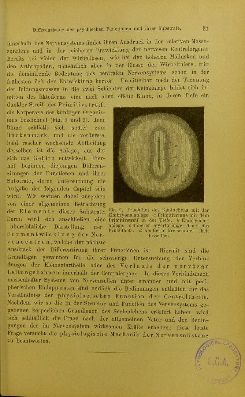 innerhalb des Nervensystems findet ihren Ausdruck in der relativen Masse- zunahme und in der reicheren Entwicklung der nervösen Centraiorgane. Bereits bei vielen der Wirbellosen, wie bei den höheren Mollusken und den Arthropoden, namentlich aber in der Classe der Wirbelthiere, tritt die dominirende Bedeutung des centralen Nervensystems schon in der frühesten Zeit der Entwicklung hervor. Unmittelbar nach der Trennung der Bildungsmassen in die zwei Schichten der Keimanlage bildet sich in- mitten des Ektoderms eine nach oben offene Rinne, in deren Tiefe ein dunkler Streif, der Primitivstreif, die Körperaxe des künftigen Organis- mus bezeichnet (Fig. 7 und 9), Jene Rinne schließt sich später zum Rückenmark, und die vorderste, bald rascher wachsende Abtheilung derselben ist die Anlage, aus der sich das Gehirn entwickelt. Hier- mit beginnen diejenigen Differen- zirungen der Functionen und ihrer Substrate, deren Untersuchung die Aufgabe der folgenden Capitel sein wird. Wir werden dabei aussehen von einer allgemeinen Betrachtung der Elemente dieser Substrate. ^'^-J- F'-uchthof des Kaninchens mit der • j . n Embryonaianlage. a Primitivrinne mit dem Daran wird sich anschließen eine Primitivstreif in der Tiefe, b Embryonal- übersichtliche Darstellune der anläge- c Innerer ieyerförmiger Theil des FrUChtllOfS ^ \ ni-iRm>^r> ^rr^nl^^r>l1n ri TU«;I d Aeußerer Itreisrunder desselben. Theil Formentwieklung der Ner- vencentren, welche der nächste Ausdruck der Differenzirung ihrer Functionen ist. Hiermit sind die Grundlagen gewonnen für die schwierige Untersuchung der Verbin- dungen der Elementartheile oder des Verlaufs der nervöse.n Leitungsbahnen innerhalb der Centraiorgane. In diesen Verbindungen massenhafter Systeme von Nervenzellen unter einander und mit peri- pherischen Endapparaten sind endlich die Bedingungen enthalten für das Verständniss der physiologischen Function der Centraltheile. Nachdem wir so die in der Structur und Function des Nervensystems ge- gebenen körperlichen Grundlagen des Seelenlebens erörtert haben, wird sich schließlich die Frage nach der allgemeinen Natur und den Bedin- gungen der im Nervensystem wirksamen Kräfte erheben; diese letzte Frage versucht die physiologische Mechanik der Nervensubstanz zu beantworten.