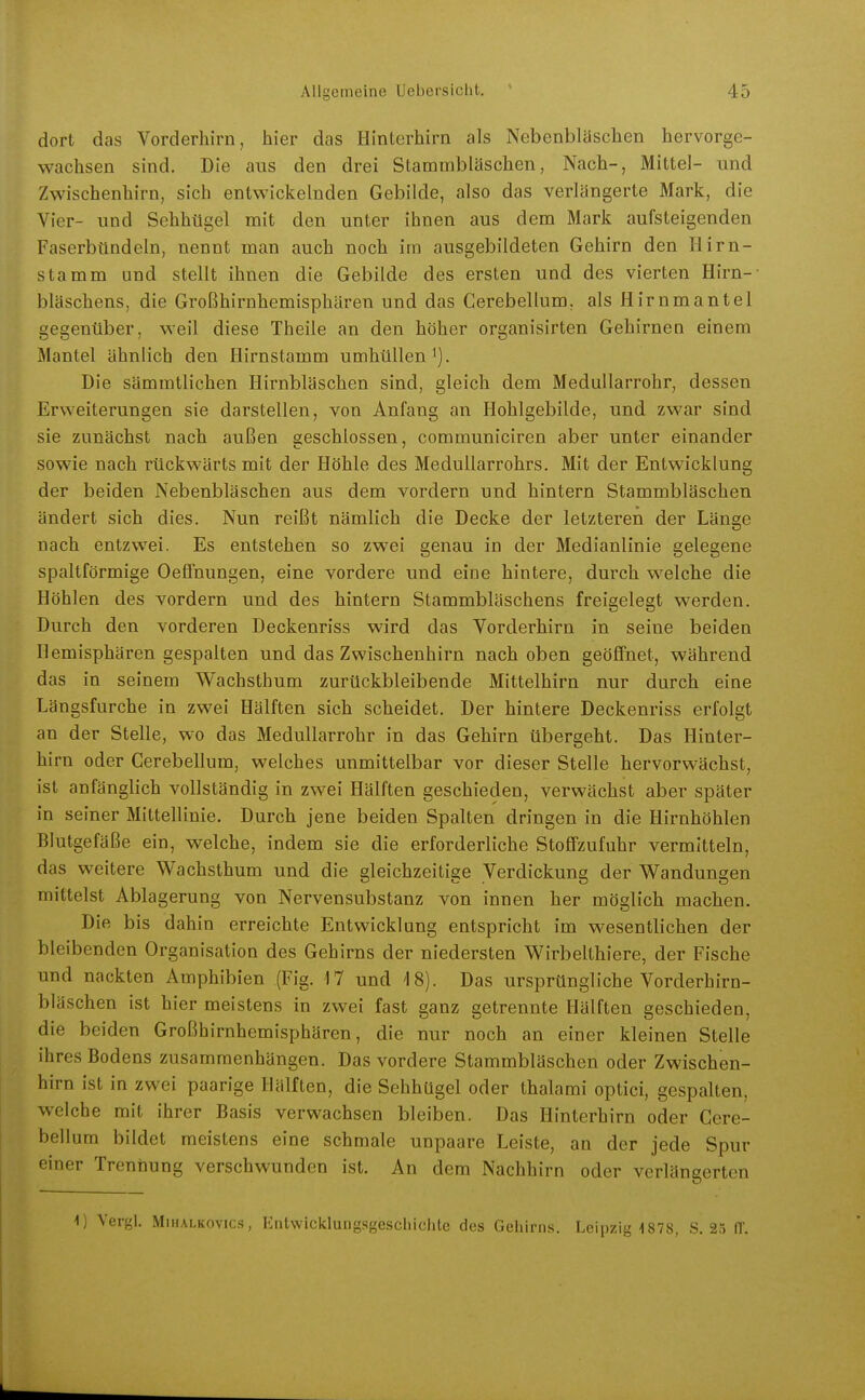 dort das Vorderhirn, hier das Hinterhirn als Nebenblaschen hervorge- wachsen sind. Die aus den drei Stammbläschen, Nach-, Mittel- und Zwischenhirn, sich entwickelnden Gebilde, also das verlängerte Mark, die Vier- und Sehhügel mit den unter ihnen aus dem Mark aufsteigenden Faserbündeln, nennt man auch noch im ausgebildeten Gehirn den Hirn- stamm und stellt ihnen die Gebilde des ersten und des vierten Hirn-- bläschens, die Großhirnhemisphären und das Cerebellum. als Hirnmantel gegenüber, weil diese Theile an den höher organisirten Gehirnen einem Mantel ähnlich den Hirnstamm umhüllen i). Die sämmtlichen Hirnbläschen sind, gleich dem Medallarrohr, dessen Erweiterungen sie darstellen, von Anfang an Hohlgebilde, und zwar sind sie zunächst nach außen geschlossen, communiciren aber unter einander sowie nach rückwärts mit der Höhle des MeduUarrohrs. Mit der Entwicklung der beiden Nebenbläschen aus dem vordem und hintern Stammbläschen ändert sich dies. Nun reißt nämlich die Decke der letzteren der Länge nach entzwei. Es entstehen so zwei genau in der Medianlinie gelegene spaltförmige Oeffnungen, eine vordere und eine hintere, durch welche die Höhlen des vordem und des hintern Stammbläschens freigelegt werden. Durch den vorderen Deckenriss wird das Vorderhirn in seine beiden Hemisphären gespalten und das Zwischenhirn nach oben geöffnet, während das in seinem Wachsthum zurückbleibende Mittelhirn nur durch eine Längsfurche in zwei Hälften sich scheidet. Der hintere Deckenriss erfolgt an der Stelle, wo das Medullarrohr in das Gehirn übergeht. Das Hinter- hirn oder Cerebellum, welches unmittelbar vor dieser Stelle hervorwächst, ist anfänglich vollständig in zwei Hälften geschieden, verwächst aber später in seiner Mittellinie. Durch jene beiden Spalten dringen in die Hirnhöhlen Blutgefäße ein, welche, indem sie die erforderliche Stofifzufuhr vermitteln, das weitere Wachsthum und die gleichzeitige Verdickung der Wandungen mittelst Ablagerung von Nervensubstanz von innen her möglich machen. Die bis dahin erreichte Entv^^icklung entspricht im wesentlichen der bleibenden Organisation des Gehirns der niedersten Wirbelthiere, der Fische und nackten Amphibien (Fig. 17 und '18). Das ursprüngliche Vorderhirn- bläschen ist hier meistens in zwei fast ganz getrennte Hälften geschieden, die beiden Großhirnhemisphären, die nur noch an einer kleinen Stelle ihres Bodens zusammenhängen. Das vordere Stammbläschen oder Zwischen- hirn ist in zwei paarige Hälften, die Sehhügel oder thalami optici, gespalten, welche mit ihrer Basis verwachsen bleiben. Das Hinterbirn oder Cere- bellum bildet meistens eine schmale unpaare Leiste, an der jede Spur einer Trennung verschwunden ist. An dem Nachhirn oder verlängerten ) Vergl. MuiALKOvics, Eiitwicklungsgeschichte des Gehirns. Leipzig 1878, 8.25 (1.