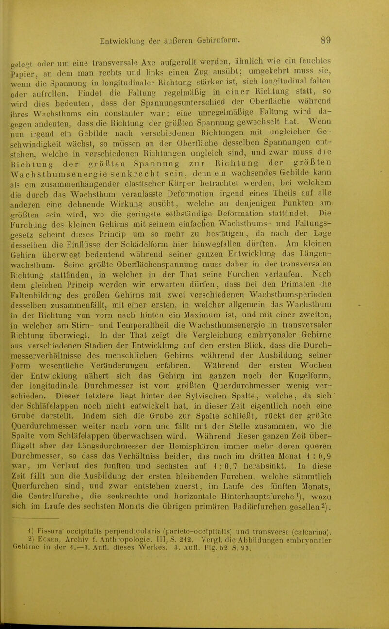 gelegt oder um eine transversale Axe aufgerollt werden, ähnlich wie ein feuchtes Papier, an dem man rechts und links einen Zug ausübt; umgekehrt muss sie, wenn die Spannung in longitudinaler Richtung stärker ist, sich longitudinal falten oder aufrollen. Findet die Faltung regelmäßig in einer Richtung statt, so wird dies bedeuten, dass der Spannungsunterschied der Oberfläche während ihres Wachsthums ein constanter war; eine unregelmäßige Faltung wird da- gegen andeuten, dass die Richtung der größten Spannung gewechselt hat. Wenn nun irgend ein Gebilde nach verschiedenen Richtungen mit ungleicher Ge- schwindigkeit wächst, so müssen an der Oberfläche desselben Spannungen ent- stehen, welche in verschiedenen Richtungen ungleich sind, und zwar muss die Richtung der größten Spannung zur Richtung der größten Wachsthumsenergie senkre ch t sein, denn ein wachsendes Gebilde kann als ein zusammenhängender elastischer Körper betrachtet werden, bei welchem die durch das Wachsthura veranlasste Deformation irgend eines Theils auf alle anderen eine dehnende Wirkung ausübt, welche an denjenigen Punkten am. größten sein wird, wo die geringste selbständige Deformation stattfindet. Die Furchune des kleinen Gehirns mit seinem einfach'en Wachsthums- und Faltungs- gesetz scheint dieses Princip um so mehr zu bestätigen, da nach der Lage desselben die Einflüsse der Schädelform hier hinwegfallen dürften. Am kleinen Gehirn überwiegt bedeutend während seiner ganzen Entwicklung das Längen- wachslhum. Seine größte Oberflächenspannung muss daher in der transversalen Richtung stattfinden, in welcher in der Thal seine Furchen verlaufen. Nach dem gleichen Princip werden wir erwarten dürfen, dass bei den Primaten die Faltenbildung des großen Gehirns mit zwei verschiedenen Wachsthumsperioden desselben zusammenfällt, mit einer ersten, in welcher allgemein das Wachsthum in der Richtung von vorn nach hinten ein Maximum ist, und mit einer zweiten, in welcher am Stirn- und Temporaltheil die Wachsthumsenergie in transversaler Richtung überwiegt. In der That zeigt die Vergleichung embryonaler Gehirne aus verschiedenen Stadien der Entwicklung auf den ersten Blick, dass die Durch- messerverhältnisse des menschlichen Gehirns während der Ausbildung seiner Form wesentliche Veränderungen erfahren. Während der ersten Wochen der Entwicklung nähert sich das Gehirn im ganzen noch der Kugelform, der longitudinale Durchmesser ist vom größten Querdurchmesser wenig ver- schieden. Dieser letztere liegt hinter der Sylvischen Spalte, welche, da sich der Schläfelappen noch nicht entwickelt hat^ in dieser Zeit eigentlich noch eine Grube darstellt. Indem sich die Grube zur Spalte schließt, rückt der größte Querdurchmesser weiter nach vorn und fällt mit der Stelle zusammen, wo die Spalte vom Schläfelappen überwachsen wird. Während dieser ganzen Zeit über- flügelt aber der Längsdurchmesser der Hemisphären immer mehr deren queren Durchmesser, so dass das Verhältniss beider, das noch im dritten Monat \ : 0,9 war, im Verlauf des fünften und sechsten auf 1:0,7 herabsinkt. In diese Zeit fällt nun die Ausbildung der ersten bleibenden Furchen, welche sämmtlich Querfurchen sind, und zwar entstehen zuerst, im Laufe des fünften Monats, die Centraifurche, die senkrechte und horizontale Hinterhauptsfurchewozu sich im Laufe des sechsten Monats die übrigen primären Radiärfurchen gesellen 2], 1) Fissura'occipitalis perpendicularis (parieto-occipitalis) und transversa (calcarina). 2) ECKKR, Archiv f. Anthropologie. III, S. 212. Vcrgl. die Abbildungen embryonaler Gehirne in der 1,-3. Aufl. dieses Werkes. 3. Aull. Fig. 52 S. 93.