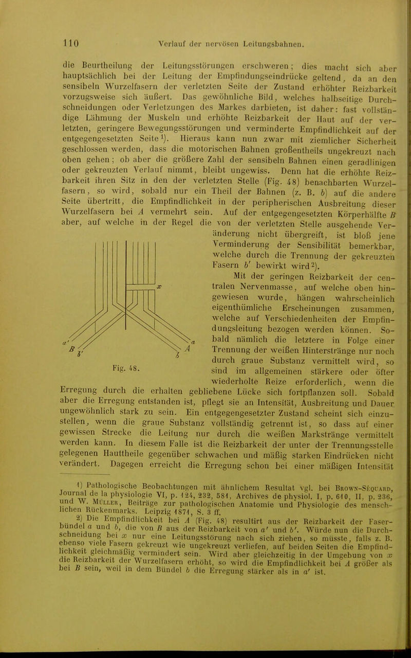 die Beurtheilung der Leitungsstörungen erschweren; dies macht sich aber hauptsächlich bei der Leitung der Empfindungseindrücke geltend, da an den sensibeln Wurzelfasern der verletzten Seite der Zustand erhöhter Reizbarkeit vorzugsweise sich äußert. Das gewöhnliche Bild, welches halbseitige Durch- schneidungen oder Verletzungen des Markes darbieten, ist daher: fast vollstän- dige Lähmung der Muskeln und erhöhte Reizbarkeit der Haut auf der ver- letzten, geringere Bewegungsstörungen und verminderte Empfindlichkeit auf der entgegengesetzten Seite i). Hieraus kann nun zwar mit ziemlicher Sicherheit geschlossen werden, dass die motorischen Bahnen großentheils ungekreuzt nach oben gehen; ob aber die größere Zahl der sensibeln Bahnen einen geradlinigen oder gekreuzten Verlauf nimmt, bleibt ungewiss. Denn hat die erhöhte Reiz- barkeit ihren Sitz in den der verletzten Stelle (Fig. 48) benachbarten Wurzel- fasern, so wird, sobald nur ein Theil der Bahnen (z. B. b) auf die andere Seite übertritt, die Empfindlichkeit in der peripherischen Ausbreitung dieser Wurzelfasern bei A vermehrt sein. Auf der entgegengesetzten Körperhälfte B aber, auf welche in der Regel die von der verletzten Stelle ausgebende Ver- änderung nicht übergreift, ist bloß jene Verminderung der Sensibilität bemerkbar, welche durch die Trennung der gekreuzten Fasern b' bewirkt wird 2). Mit der geringen Reizbarkeit der cen- tralen Nervenmasse, auf welche oben hin- gewiesen wTirde, hängen wahrscheinlich eigenthümliche Erscheinungen zusammen, welche auf Verschiedenheiten der Empfin- dungsleitung bezogen werden können. So- bald nämhch die letztere in Folge einer Trennung der weißen Hinterstränge nur noch durch graue Substanz vermittelt wird, so sind im allgemeinen stärkere oder öfter wiederholte Reize erforderlich, wenn die Erregung durch die erhalten gebliebene Lücke sich fortpflanzen soll. Sobald aber die Erregung entstanden ist, pflegt sie an Intensität, Ausbreitung und Dauer ungewöhnlich stark zu sein. Ein entgegengesetzter Zustand scheint sich einzu- stellen, wenn die graue Substanz vollständig getrennt ist, so dass auf einer gewissen Strecke die Leitung nur durch die weißen Markstränge vermittelt werden kann. In diesem Falle ist die Reizbarkeit der unter der Trennungsstelle gelegenen Hauttheile gegenüber schwachen und mäßig starken Eindrücken nicht verändert. Dagegen erreicht die Erregung schon bei einer mäßigen Intensität 1) Pathologische Beobachtungen mit ähnlichem Resultat vgl. bei Brown-Sequard, Journal de la physioiogie VI, p. 124, 232, 581, Archives de physiol. I, p. 610, II, p. 236, und w. Müller, Beiträge zur pathologischen Anatomie und Physiologie des mensch- lichen Rückenmarks. Leipzig 1871, S. 3 ff. 2) Die Empfindlichkeit bei A (Fig. 48) resultirt aus der Reizbarkeit der Faser- Dunaei o und b, die von B aus der Reizbarkeit von a' und b'. Würde nun die Durch- scnneiüung bei x nur eine Leitungsstörung nach sich ziehen, so müsste, falls z. B. eoenso viele Fasern gekreuzt wie ungekreuzt verliefen, auf beiden Seiten die Empfind- lichkeit gleichmäßig vermindert sein. Wird aber gleichzeitig in der Umgebung von x die Reizbarkeit der Wurzelfasern erhöht, so wird die Empfindlichkeit bei A größer als bei B sein, weil in dem Bündel b die Erregung stärker als in a' ist. Fig. 48.