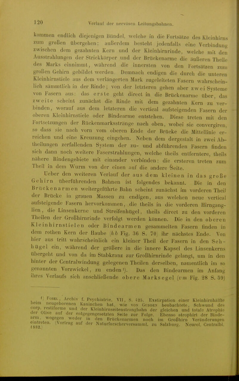 kommen endlich diejenigen liündel, welche in die Fortsülze des Kleinhirns zum großen übergehen; üußerdem besteht jedenfalls eine Verbindung zwischen dem gezahnten Kern und der Kleinhirnrinde, welche mit den Ausstrahlungen der Strickkörper und der BrUekenarme die äußeren Theile des Marks einnimmt, während die innersten von den Fortsätzen zum großen Gehirn gebildet werden. Demnach endigen die durch die unteren Kleinhirnstiele aus dem verlängerten Mark zugeleiteten Fasern wahrschein- lich sämmtlich in der Rinde; von der letzteren gehen aber zwei Systeme von Fasern aus: das erste geht direct in die Brückenarme über, das zweite scheint zunächst die Rinde mit dem gezahnten Kern zu ver- binden, worauf aus dem letzteren die vertical aufsteigenden Fasern der oberen Kleinhirnstiele oder Bindearme entstehen. Diese treten mit den Fortsetzungen der Rückenmarksstränge nach oben, wobei sie convergiren. so dass sie nach vorn vom oberen Ende der Brücke die Mittellinie er- reichen und eine Kreuzung eingehen. Neben dem dergestalt in zwei Ab- theilungen zerfallenden System der zu- und abführenden Fasern finden sich dann noch weitere Faserstrahlungen, welche theils entferntere, theils nähere Rindengebiete mit einander verbinden: die ersteren treten zum Theil in dem Wurm von der einen auf die andere 'Seite. Ueber den weiteren Verlauf der aus dem kleinen in das große Gehirn überführenden Bahnen ist folgendes bekannt. Die in den Brücken armen weitergeführte Bahn scheint zunächst im vorderen Theil der Brücke in grauen Massen zu endigen, aus welchen neue vertical aufsteigende Fasern hervorkommen, die theils in die vorderen Hirngang- lien, die Linsenkerne und Streifenhügel, theils direct zu den vorderen Theilen der Großhirnrinde verfolgt werden können. Die in den oberen Kleinhirnstielen oder Bindearmen gesammelten Fasern finden in dem rothen Kern der Haube [h b Fig. 36 S^ 70) ihr nächstes Ende. Von hier aus tritt wahrscheinlich ein kleiner Theil der Fasern in den Seh- hügel ein, während der größere in die innere Kapsel des Linsenkerns übergeht und von da im Stabkranz zur Großhirnrinde gelangt, um in den hmter der Centraiwindung gelegenen Theilen derselben, namentlich im so genannten Vorzwickel, zu enden i). Das den Bindearmen im Anfang ihres Verlaufs sich anschließende obere Marks egel {vin Fig. 28 S. 59) -1, FoREL Archiv f. Psychiatrie. VII, S. 425. Exslirpation einer Kleinhirnhiilfte neim neugeborenen Kaninchen hat, wie von Gudden beobachtete, Schwund des corp. reslitorme und der Kleinhirnseitenstrangbahn der gleichen und totale Atrophie acr uiive auf der entgegengesetzten Seite zur Folge. Ebenso atrophirt der Hiiidc- arm wogegen weder in den Brückenarmen noch im Großhirn Veränderunsen ?LnI': (Vortrag auf der Naturforscherversamml. zu Salzburg. Neurol. Centralbl. •1882.;