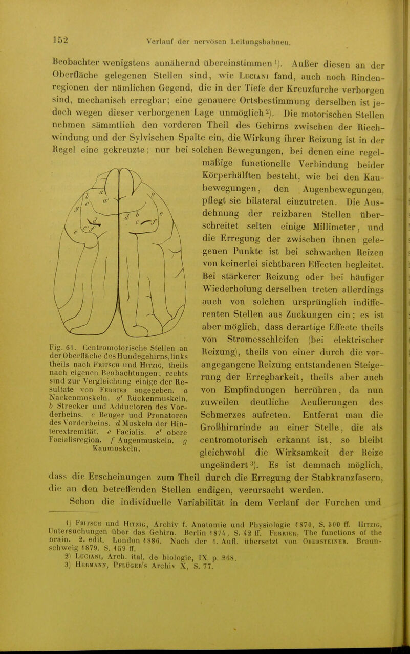 Beobachter wenigstens annähernd übereinstimmen '). Außer diesen an der Oberfläche gelegenen Stellen sind, wie Luciam fand, auch noch Rindeu- regionen der nämlichen Gegend, die in der Tiefe der Kreuzfurche verborgen sind, mechanisch erregbar; eine genauere Ortsbestimmung derselben ist je- doch wegen dieser verborgenen Lage unmöglich'^). Die motorischen Stellen nehmen sämmtlich den vorderen Theil des Gehirns zwischen der Riech- windung und der Sylvischen Spalte ein, die Wirkung ihrer Reizung ist in der Regel eine gekreuzte; nur bei solchen Bewegungen, bei denen eine regel- mäßige functionelle Verbindung beider Körperhälften besteht, wie bei den Kau- bewegungen, den .Augenbewegungen, pflegt sie bilateral einzutreten. Die Aus- dehnung der reizbaren Stellen über- schreitet selten einige Millimeter, und die Erregung der zwischen ihnen gele- genen Punkte ist bei schwachen Reizen von keinerlei sichtbaren Efiecten begleitet. Bei stärkerer Reizung oder bei häufiger Wiederholung derselben treten allerdings auch von solchen ursprünglich indiffe- renten Stellen aus Zuckungen ein ; es ist aber möglich, dass derartige Eff'ecte theils von Stromesschleifen (bei elektrischer Beizung), theils von einer durch die vor- angegangene Reizung entstandenen Steige- rung der Erregbarkeit, theils aber auch von Empfindungen herrühren, da nun zuweilen deutliche Aeußerungen de.-^ Schmerzes aufreten. Entfernt man die Großhirnrinde an einer Stelle, die als centromotorisch erkannt ist, so bleibt gleichwohl die Wirksamkeit der Reize ungeändert 3), Es ist demnach möglich, dass die Erscheinungen zum Theil durch die Erregung der Stabkranzfaseru, die an den betreffenden Stellen endigen, verursacht werden. Schon die individuelle Variabilität in dem Verlauf der Furchen und 1) Fritsch und Hitzig, Archiv f. Anatomie und Physiologie ^870, S. 300 ff. Hitzig, Untersuchungen über das Gehirn. Berlin 1874, S. 42 ff. Fkrrier, The funclions of the orain. 2. edit. London 1886. Nach der 1. Aufl. übersetzt von Ouersteiner. Braun- schweig 1879. S. 159 ff. 2) LüCiANi, Arch. ital. de biologie, IX p. 268. 3) Hermann, Pflüger's Arclüv X, S. 77. Fig. 61. Centromotorische Stellen an der Oberfläche des Hundegehirns,links theils nach Fritsch und Hitzig, theils nach eigenen Beobachtungen; rechts sind zur Vergleichung einige der Re- sultate von Ferrier angegeben, a Nackenmuskeln, a' Rückenmuskeln, b Strecker und Adductoren des Vor- derbeins, c Beuger und Pronatoren des Vorderbeins, d Muskeln der Hin- terextremität. e Facialis, e' obere Facialisregion. f Augenmuskeln, (j Kaumuskeln.