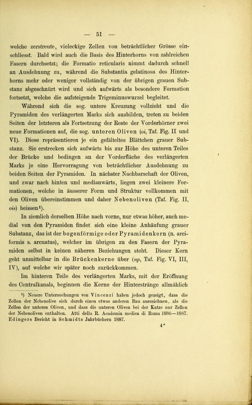 welche zerstreute, vieleckige Zellen von beträchtlicher Grösse ein- schliesst. Bald wird auch die Basis des Hinterhorns von zahlreichen Fasern durchsetzt; die Formatio reticularis nimmt dadurch schnell an Ausdehnung zu, während die Substantia gelatinosa des Hinter- horns mehr oder weniger vollständig von der übrigen grauen Sub- stanz abgeschnürt wird und sich aufwärts als besondere Formation fortsetzt, welche die aufsteigende Trigeminuswurzel begleitet. Während sich die sog. untere Kreuzung vollzieht und die Pyramiden des verlängerten Marks sich ausbilden, treten zu beiden Seiten der letzteren als Fortsetzung der Beste der Yorderhörner zwei neue Formationen auf, die sog. unteren Oliven (o*, Tai Fig. II und YI). Diese repräsentieren je ein gefälteltes Blättchen grauer Sub- stanz. Sie erstrecken sich aufwärts bis zur Höhe des unteren Teiles der Brücke und bedingen an der Yorderfläche des verlängerten Marks je eine Hervorragung von beträchtlicher Ausdehnung zu beiden Seiten der Pyramiden. In nächster Nachbarschaft der Oliven, und zwar nach hinten und medianwärts, Hegen zwei kleinere For- mationen, welche in äusserer Form und Struktur vollkommen mit den Oliven übereinstimmen und daher Nebenoliven (Tai Fig. II, ois) heissen^). In ziemüch derselben Höhe nach vorne, nur etwas höher, auch me- dial von den Pyramiden findet sich eine kleine Anhäufung grauer Substanz, das ist der bogenförmige oder Pyramidenkern (n. arci- formis s. arcuatus), welcher im übrigen zu den Fasern der Pyra- miden selbst in keinen näheren Beziehungen steht. Dieser Kern geht unmittelbar in die Brückenkerne über (np^ Tal Fig. YI, III, lY), auf welche wir später noch zurückkommen. Im hinteren Teile des verlängerten Marks, mit der Eröffnung des Centraikanals, beginnen die Kerne der Hinterstränge allmählich 1) Neuere Untersucliungen von Vincenzi haben jedoch gezeigt, dass die Zellen der Nebenolive sich durch einen etwas anderen Bau auszeichnen, als die Zellen der unteren Oliven, und dass die unteren Oliven bei der Katze nur Zellen der Nebenoliven enthalten. Atti della E. Academia medica di Koma 1886—1887. Edingers Bericht in Schmidts Jahrbüchern 1887. 4*