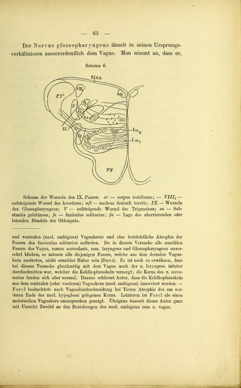 Der Nervus glossopharyngeus ähnelt in seinen Ursprungs- verhältnissen ausserordentlich dem Yagus. Man nimmt an, dass er, Schema 6. Schema der Wurzeln des IX. Paares, er — corpus restiforme; — VIIIj — aufsteigende Wurzel des Acusticus; nft — nucleus funicuK teretis; IX. — Wurzeln des Glossopharyngeus; V — aufsteigende Wurzel des Trigeminus; sn — Sub- stantia gelatinosa; fs — funiculus solitarius; fa — Lage des aberrierenden oder lateralen Bündels der Oblongata. und ventralen (nucl. ambiguus) Vaguskerns und eine beträchtliche Atrophie der Fasern des fasciculus solitarius auftreten. Da in diesem Versuche alle sensiblen Fasern des Vagus, ramus auricularis, ram. laryngeus und Glossopharyngeus unver- sehrt blieben, so müssen alle diejenigen Fasern, welche aus dem dorsalen Vagus- kern austreten, nicht sensibler Natur sein (Dees). Es ist noch zu erwähnen, dass bei diesem Versuche gleichzeitig mit dem Vagus auch der n. laryngeus inferior durchschnitten war, welcher die Kehlkopfmuskeln versorgt; die Kerne des n. acces- sorius fanden sich aber normal. Daraus schliesst Autor, dass die Kehlkopfmuskeln aus dem ventralen (oder vorderen) Vaguskern (nucl. ambiguus) innerviert werden. — Forel beobachtete nach Vagusdurchschneidung bei Tieren Atrophie des am vor- deren Ende des nucl. hypoglossi gelegenen Kerns. Letzteren ist Forel als einen motorischen Vaguskern anzusprechen geneigt. Übrigens äussert dieser Autor ganz mit Unrecht Zweifel an den Beziehungen des nucl. ambiguus zum n. vagus.