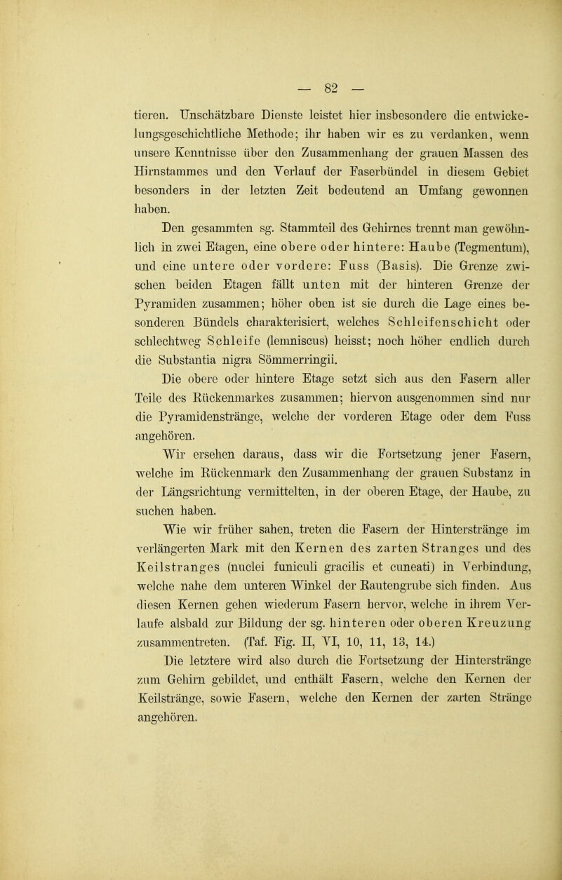 tiereil. Unschätzbare Dienste leistet hier insbesondere die entwicke- lungsgeschichtliche Methode; ihr haben wir es zu verdanken, wenn nnsere Kenntnisse über den Zusammenhang der grauen Massen des Hirnstammes und den Verlauf der Faserbündel in diesem Gebiet besonders in der letzten Zeit bedeutend an Umfang gewonnen haben. Den gesammten sg. Stammteil des Gehirnes trennt man gewöhn- lich in zwei Etagen, eine obere oder hintere: Haube (Tegmentum), und eine untere oder vordere: Fuss (Basis). Die Grenze zwi- schen beiden Etagen fällt unten mit der hinteren Grenze der Pyramiden zusammen; höher oben ist sie durch die Lage eines be- sonderen Bündels charakterisiert, welches Schleifenschicht oder schlechtweg Schleife (lemniscus) heisst; noch höher endlich durch die Substantia nigra Sömmerringii. Die obere oder hintere Etage setzt sich aus den Fasern aller Teile des Kückenmarkes zusammen; hiervon ausgenommen sind nur die Pyramidenstränge, welche der vorderen Etage oder dem Fuss angehören. Wir ersehen daraus, dass wir die Fortsetzung jener Fasern, welche im Eückenmark den Zusammenhang der grauen Substanz in der Längsrichtung vermittelten, in der oberen Etage, der Haube, zu suchen haben. Wie wir früher sahen, treten die Fasern der Hinterstränge im verlängerten Mark mit den Kernen des zarten Stranges und des Keilstranges (nuclei funiculi gracilis et cuneati) in Yerbindung, welche nahe dem unteren Winkel der Kautengrube sich finden. Aus diesen Kernen gehen wiederum Fasern hervor, welche in ihrem Yer- laufe alsbald zur Bildung der sg. hinteren oder oberen Kreuzung zusammentreten. (Taf. Fig. H, YI, 10, 11, 13, 14.) Die letztere wird also durch die Fortsetzung der Hinterstränge zum Gehirn gebildet, und enthält Fasern, welche den Kernen der Keilstränge, sowie Fasern, welche den Kernen der zarten Stränge angehören.