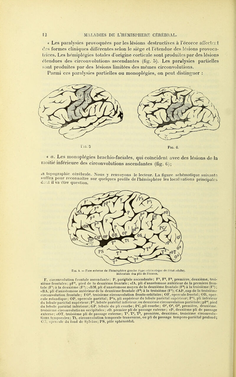 « Les paralysies provoquées par les lésions destructives à l'écorce affcctn t dos formes cliniques différentes selon le siège et l'étendue des lésions provoca- trices. Les hémiplégies totales d'origine corticale sont produites par des lésions étendues des circonvolutions ascendantes (fig. 5). Les paralysies partielles sont produites par des lésions limitées des mêmes circonvolutions. Parmi ces paralysies partielles ou monoplégies, on peut distinguer : « a. Les monoplégies brachio-faciales, qui coïncident avec des lésions de la moitié inférieure des circonvolutions ascendantes (fig. G); la topographie cérébrale. Nous y renvoyons le lecteur. La figure schématique suivante suffira pour reconnaître sur quelques profils de l'hémisphère les localisations principales doLit il va être question. FiG. 4. — Face externe de riiémisphèi'e gauche {lipc idjcinaUque <ie l'état adulte). indication das plis de l'écorce. F, circonvolution frontale ascendante; P, pariptale ascendante ; F', F', F', première, deuxième, troi- sième frontales; pF^, pied de la deuxième frontale; itfA, pli d'anastomose antérieur de la première fron- tale (F') à la deuxième (F-) ; r.BM, pli d'anastomose moyen de la deuxième frontale (F') à la troisième (F=) ; t;BA, pli d'anastomose antérieur de la deuxième frontale (F*) à la troisième (F^); CAP, cap de la troisième circonvolution frontale; FO', troisième circonvolution fronto-orbitaire; OF, opercule frontal ; OR, oper- cule rolandique ; OP, opercule pariétal ; P's, pli supérieur du lobule pariétal supérieur; P'i, pli inférieur du lobule pariétal supérieur; P\ lobule pariétal inférieur, ou deuxième circonvolution pariétale ; pP=, pied du lobule pariétal inférieur; GP, lobule du pli courbe; PC,pli courbe; 0\ O*, O', première, deuxième, troisième circonvolutio ns occipitales ; r.O. premier pli de passage externe ; tiP, deuxième pli de passage externe; -OT, troisième pli de passage externe; T', T*, T=, première, deuxième, troisième circonvolu- tions temporales; Tt, circonvolution temporale transverse, ou pli de passage temporo-pariétal profond; 03, opercule du fond de Sylvius; PS, pôle sphénoïdal.