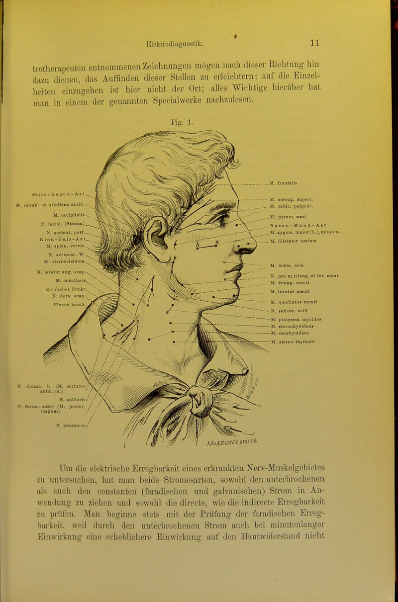 trotlierapeuteii eiitnomiuenou Zeiclinungen mügcn nach dieser Kichtung hin dazu dienen, das Auffinden dieser Stellen zu erleiciitcrn; auf die Einzel- heiten einzugehen ist hier nicht der Ort; alles Wichtige hierüber hat man in einem der genannten Spccialwerke nachzulesen. Fig. 1. Um die elektrische Erregbarkeit eines erkrankten Nerv-Muskelgebietes zu untersuchen, hat man beide Stromesarten, sowohl den unterbrochenen als auch den constanten (faradischen und galvanischen) Strom in An- wendung zu ziehen und sowohl die directe, wie die indirecte Erregbarkeit zu prüfen. Man beginne stets mit der Prüfung der faradischon Erreg- barkeit, weil durch den unterbrochenen Strom auch bei minutenlanger Einwirkung eine erheblichere Einwirkung auf den Hautwiderstand nicht