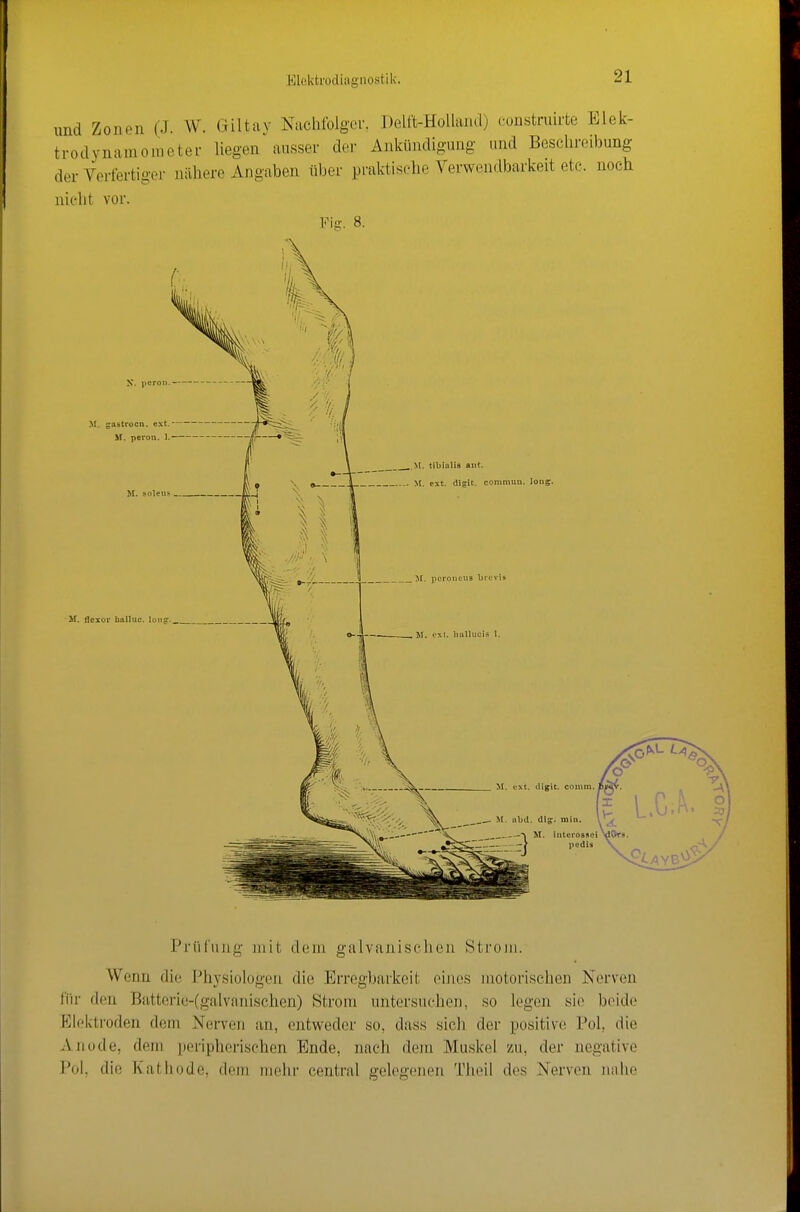und Zonen (J. W. Giltay Nachfolger. Delft-HoUaiul) coustriürfce Elek- ti-odynamometer liegen ausser der Ankündigung und Beschreibung der Verfertiger nähere Angaben über praktische Verwendbarkeit etc. noch nicht vor. Prüfung mit dem galvanischen Strom. Wenn die Physiologen die Erregbarkeit eijies motorischen Nerven für den Batterie-(galvanischen) Strom untersuchen, so legen sie beide Elektroden dem Nerven an, entweder so, dass sich der positive Pol, die Anode, dem peripherischen Ende, nach dem Muskel zu, der negative Pol, die Kathode, dem mehr central gologenen Theil des Nerven nahe