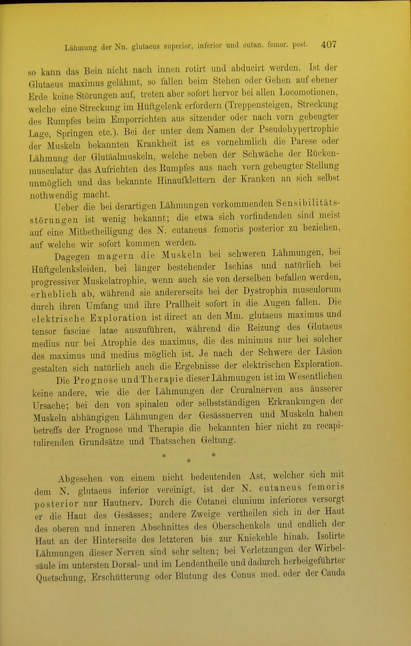SO kann das Bein nicht nach innen rotirt inid abducirt werden. Ist der Glutaeus maxinius gelähmt, so fallen beim Stehen oder Gehen auf ebener Erde keine Störungen auf, treten aber sofort hervor bei allen Locomotionen, welche eine Streckung im Hüftgelenk erfordern (Treppensteigen, Streckung des Eumpfes beim Emporrichten aus sitzender oder nach vorn gebeugter Lage, Springen etc.). Bei der unter dem Namen der Pseudohypertrophie der' Muskeln bekannten Krankheit ist es vornehmlich die Parese oder Lähmung der Glutäalmuskeln, welche neben der Schwäche der Eücken- musculatur das Aufrichten des Eumpfes aus nach vorn gebeugter Stellung unmöglich und das bekannte Hinaufklettern der Kranken an sich selbst nothwendig macht. Ueber die bei derartigen Lähmungen vorkommenden Sensibilitäts- störungen ist wenig bekannt; die etwa sich vorfindenden sind meist auf eine Mitbetheiügung des N. cutaneus femoris posterior zu beziehen, auf welche wir sofort kommen werden. Dagegen magern die Muskeln bei schweren Lähmungen, bei Hüftgelenksleiden, hei länger bestehender Ischias und natürüch bei progressiver Muskelatrophie, wenn auch sie von derselben befallen werden, erheblich ab, wähi-end sie andererseits bei der Dystrophia musculorum durch ihren Umfang und ihre Prallheit sofort in die Augen fallen. Die elektrische Exploration ist direct an den Mm. glutaeus maximus und tensor fasciae latae auszuführen, während die Eeizung des Glutaeus medius nur bei Atrophie des maximus, die des minimus nur bei solcher des maximus und medius möglich ist. Je nach der Schwere der Läsion gestalten sich natürlich auch die Ergebnisse der elektrischen Exploration. Die Prognose undTherapie dieser Lähmungen ist im Wesentlichen keine andere, wie die der Lähmungen der Cruralnerven aus äusserer Ursache; bei den von spinalen oder selbstständigen Erkrankungen der Muskeln abhängigen Lähmungen der Gesässnerven und Muskeln haben betreffs der Prognose und Therapie die bekannten hier nicht zu recapi- tulirenden Grundsätze und Thatsachen Geltung. * * Abgesehen von einem nicht bedeutenden Ast, welcher sich mit dem glutaeus inferior vereinigt, ist der N. cutaneus femoris posterior nur Hautnerv. Durch die Cutanei clunium inferiores versorgt er die Haut des Gesässes; andere Zweige vertheilen sich in der Haut des oberen und inneren Abschnittes des Oberschenkels und endUch der Haut an der Hinterseite des letzteren bis zur Kniekehle hinab. Isolirte Lähmungen dieser Nerven sind sehr selten; bei Verletzungen der Wirbel- säule im untersten Dorsal- und im Lendentheile und dadurch herbeigeführter Quetschung, Erschütterung oder Blutung des Conus med. oder der Cauda