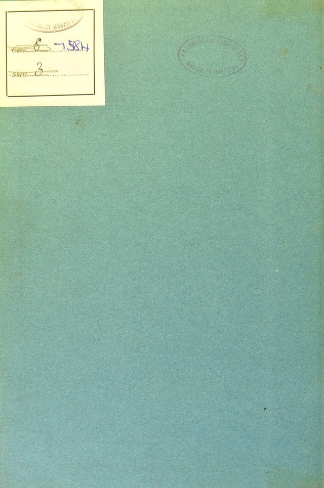 digitised image 2