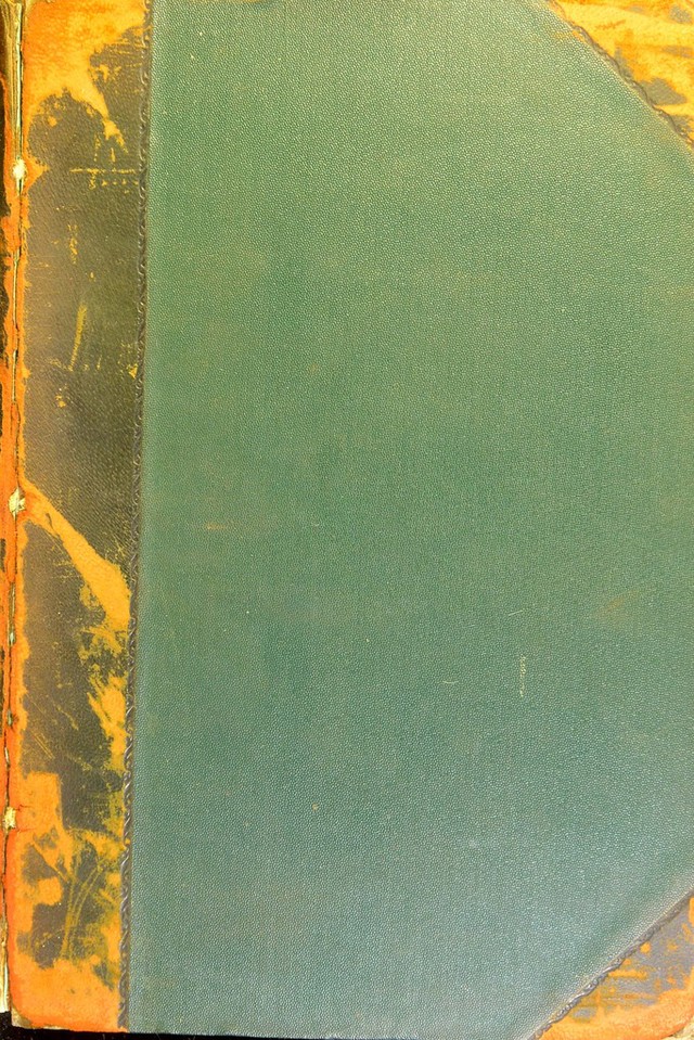 digitised image 1