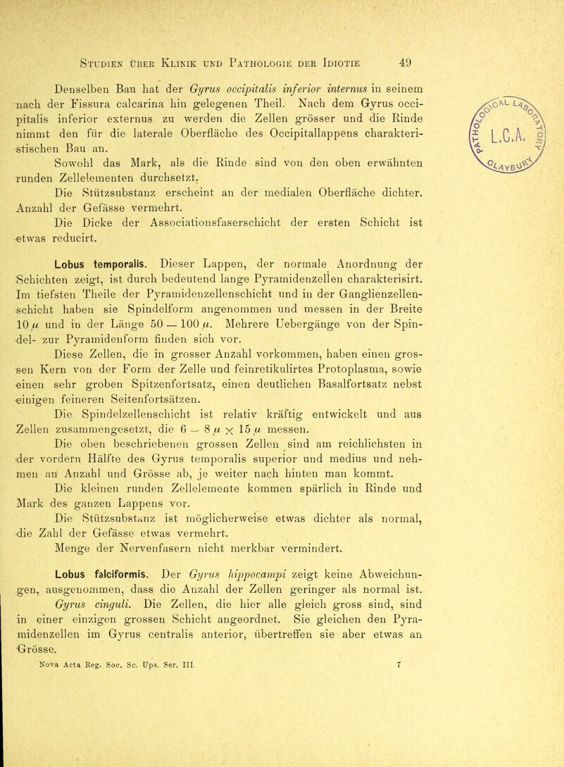 Denselben Bau hat der Gyrus occipitalis inferior internus in seinem nach der Fissura calcarina hin gelegenen Theil. Nach dem Gyrus occi- pitalis inferior externus zu werden die Zellen grösser und die Rinde nimmt den für die laterale Oberfläche des Occipitallappens charakteri- stischen Bau an. Sowohl das Mark, als die Rinde sind von den oben erwähnten runden Zellelementen durchsetzt. Die Stützsubstanz erscheint an der medialen Oberfläche dichter. Anzahl der Gefässe vermehrt. Die Dicke der Associationsfaserschicht der ersten Schicht ist etwas reducirt. Lobus temporalis. Dieser Lappen, der normale Anordnung der Schichten zeigt, ist durch bedeutend lange Pyramidenzellen charakterisirt. Im tiefsten Theile der Pyramidenzellenschicht und in der Ganglienzellen- schicht haben sie Spindelform angenommen und messen in der Breite 10 a und in der Länge 50 — 100 Mehrere Uebergänge von der Spin- del- zur Pyramidenform finden sich vor. Diese Zellen, die in grosser Anzahl vorkommen, haben einen gros- sen Kern von der Form der Zelle und feinretikulirtes Protoplasma, sowie einen sehr groben Spitzenfortsatz, einen deutlichen Basalfortsatz nebst einigen feineren Seitenfortsätzen. Die Spindelzellenschicht ist relativ kräftig entwickelt und aus Zellen zusammengesetzt, die 6 — 8 u x 15,a messen. Die oben beschriebenen grossen Zellen sind am reichlichsten in -der vordem Hälfte des Gyrus temporalis superior und medius und neh- men an Anzahl und Grösse ab, je weiter nach hinten man kommt. Die kleinen runden Zelleleinente kommen spärlich in Rinde und Mark des ganzen Lappens vor. Die Stützsubstanz ist möglicherweise etwas dichter als normal, ■die Zahl der Gefässe etwas vermehrt. Menge der Nervenfasern nicht merkbar vermindert. Lobus faiciformis. Der Gyrus hippocampi zeigt keine Abweichun- gen, ausgenommen, dass die Anzahl der Zellen geringer als normal ist. Gyrus cinguli. Die Zellen, die hier alle gleich gross sind, sind in einer einzigen grossen Schicht angeordnet. Sie gleichen den Pyra- midenzellen im Gyrus centralis anterior, übertreff'en sie aber etwas an Grösse. Nova Acta Reg. Soc. Sc. Ups. Ser. III. 7