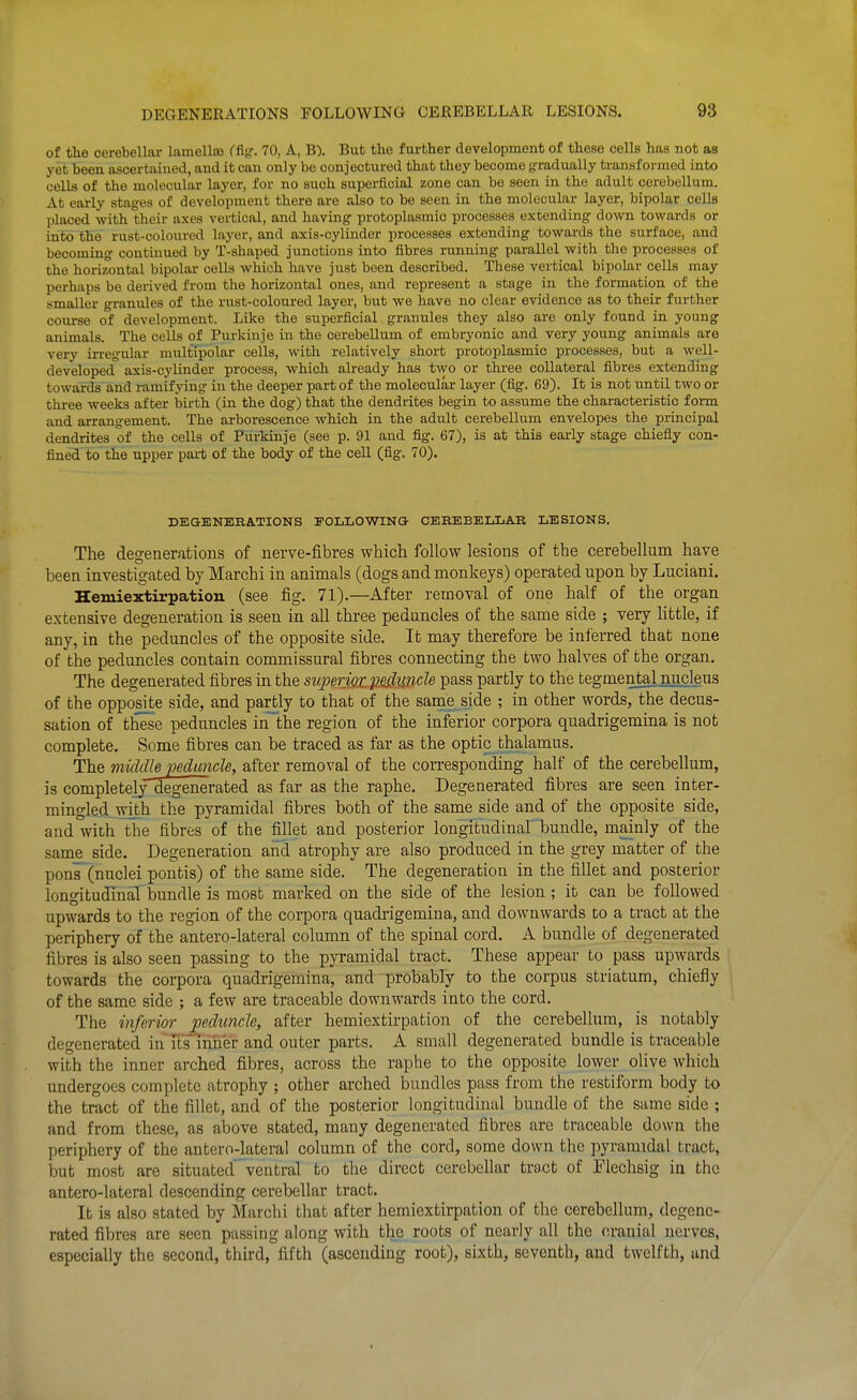 of the cerebellar lamelliB (hg. 70, A, B). But the further development of these cells has not as yet been ascertained, and it can only be conjectured that they become gradually transformed into cells of the molecular layer, for no such superficial zone can be seen in the adult cerebellum. At early stages of development there are also to be seen in the molecular layer, bipolar cells placed with their axes vertical, and having protoplasmic processes extending down towards or into the rust-coloured layer, and axis-cylinder processes extending towards the surface, and becoming continued by T-shaped junctions into fibres running parallel with the processes of the horizontal bipolar cells which have just been described. These vertical bipolar cells may perhaps be derived from the horizontal ones, and represent a stage in the formation of the smaller granules of the rust-coloured layer, but we have no clear evidence as to their further course of development. Like the superficial granules they also are only found in young animals. The cells of Purkinje in the cerebellum of embryonic and very young animals are very irregular multipolar cells, with relatively short protoplasmic processes, but a well- developed axis-cylinder process, which already has two or three collateral fibres extending towards and ramifying in the deeper part of the molecular layer (fig. 69). It is not until two or three weeks after bii-th (in the dog) that the dendrites begin to assume the characteristic form and arrangement. The arborescence which in the adult cerebellum envelopes the principal dendrites of the cells of Purkinje (see p. 91 and fig. 67), is at this early stage chiefly con- fined to the upper part of the body of the cell (fig. 70). DEGENERATIONS FOLLOWINS CEHEBELLAR LESIONS. The degenerations of nerve-fibres which follow lesions of the cerebellum have been investigated by Marchi in animals (dogs and monkeys) operated upon by Luciani. Hemieartirpation (see fig. 71).—After removal of one half of the organ extensive degeneration is seen in all three peduncles of the same side ; very little, if any, in the peduncles of the opposite side. It may therefore be inferred that none of the peduncles contain commissural fibres connecting the two halves of the organ. The degenerated fibres in the superiQt ps^ijfide pass partly to the tegmental nucleus of the opposite side, and partly to that of the same side ; in other words, the decus- sation of these peduncles in~the region of the inferior corpora quadrigemina is not complete. Some fibres can be traced as far as the optic thalamus. The middle peduncle, after removal of the corresponding half of the cerebellum, is completely degenerated as far as the raphe. Degenerated fibres are seen inter- mingled_with the pyramidal fibres both of the same side and of the opposite side, and with the fibres of the fillet and posterior longitudinal bundle, mainly of the same side. Degeneration and atrophy are also produced in the grey matter of the pons (nuclei pontis) of the same side. The degeneration in the fillet and posterior longitudinal bundle is most marked on the side of the lesion; it can be followed upwards to the region of the corpora quadi'igemina, and downwards to a tract at the periphery of the anterolateral column of the spinal cord. A bundle of degenerated fibres is also seen passing to the pyramidal tract. These appear to pass upwards towards the corpora quadrigemina, and probably to the corpus striatum, chiefly of the same side ; a few are traceable downwards into the cord. The inferior peduncle, after hemiextirpation of the cerebellum, is notably degenerated in fts inner and outer parts. A small degenerated bundle is traceable with the inner arched fibres, across the raphe to the opposite lower olive which undergoes complete atrophy ; other arched bundles pass from the restiform body to the tract of the fillet, and of the posterior longitudinal bundle of the same side ; and from these, as above stated, many degenerated fibres are traceable down the periphery of the antero-lateral column of the cord, some down the pyramidal tract, but most are situated'ventral to the direct cerebellar troct of Flechsig ia the antero-lateral descending cerebellar tract. It is also stated by Marchi that after hemiextirpation of the cerebellum, degene- rated fibres are seen passing along with the roots of nearly all the cranial nerves, especially the second, third, fifth (ascending root), sixth, seventh, and twelfth, and