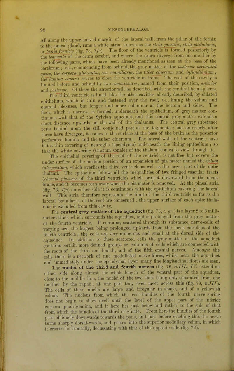 All along the upper curved margin of the lateral wall, from the pillar of the fornix to the pineal gland, runs a white stria, known as the striajJtnealis, stria rmdddlaris, or tcmia fomicis (fig. 73, Tfo). The floor of the ventricle is formed posteriorly by the tegmenia of the crura cerebri, and where the crura diverge from one another by the following parts, which have been already mentioned as seen at the base of the cerebrum ; viz., commencing from behind, the grey matter of the posterior perforated space, the corpora aliicaniia, seu mamillaria, the tuler cinereum and infundibiitiim; lamina cinerea serves to close the ventricle in fronir The roof of the cavity is limited beToFe and behind by two commissures, named from their position, anterior and posterior. Of these the anterior will be described with the cerebral hemispheres. The~third ventricle is lined, hke the other cavities already described, by ciliated epithelium, which is thin and flattened over the roof, i.e., lining the velum and choroid plexuses, but longer and more columnar at the bottom and sides. The floor, which is narrow, is formed, underneath the epithelium, of grey matter con- tinuous with that of the Sylvian aqueduct, and this central grey matter extends a short distance upwards on the wall of the thalamus. The central grey substance rests behind upon the still conjoined part of ihe tegmenta ; but anteriorly, after these have diverged, it comes to the surface at the base of the brain as the posterior perforated lamina and the tuber cinereum. The lateral walls of the ventricle have but a thin covering of neuroglia (ependyma) underneath the hning epithelium ; so that the white covering (stratum zonale) of the thalami comes to view through it. The epithelial covering of the roof of the ventricle is not free but covers the under surface of the median portion of an expansion of pia mater named the vehim interposilum, which overlies the third ventricle as well as the larger part of the optic thaTamT The epithelium follows all the inequalities of two fringed vascular tracts {choroid plexuses of the third ventricle) which project downward from the mem- brane, and it' becomes torn away when the pia mater is removed. At the pineal stria (fig. 73, Tfo) on either side it is continuous with the epithelium covering the lateral wall This stria therefore represents the limit of the third ventricle so far as the lateral boundaries of the roof are concerned : the upper surface of each optic thala- mus is excluded from this cavity. The central grey matter of the aqueduct (fig. 76, c. gr.) is a layer 2 to 3 milli- meters thick which surrounds the aqueduct, and is prolonged ft-om the grey matter of the fourth ventricle. It contains, scattered through its substance, nerve-cells of varying size, the largest being prolonged upwards from the locus coeruleus of the fourth ventricle ; the cells are very numerous and small at the dorsal side of the aqueduct. In addition to these scattered cells the grey matter of the aqueduct contains certain more defined groups or columns of cells which are connected with the roots of the third and fourth, and of the fifth cranial nerves. Amongst the cells there is a network of fine meduUated nerve fibres, whilst near the aqueduct and immediately under the ependymal layer many fine longitudinal fibres are seen. The nuclei of the third and fourth nerves (fig. 76, n.III., IV. extend on either side along almost the whole length of the ventral part of the aqueduct, close to the middle line, the nuclei of the two sides being only separated from one another by the raphe ; at one part they even meet across this (fig. 78, n.III). The cells of these nuclei are large and hregular in shape, and of a yellowish colour. The nucleus from which the root-bundles of the fourth nerve spring does not begin to show itself until the level of the upper part of the inferior corpora quadrigemina, and it here hes just below and rather to the side of that from which the bundles of the third originate. From here the bundles of the fourth pass obliquely downwards towards the pons, and just before reaching this the nerve turns sharply dorsal-wards, and passes into the superior medullary velum, in wliich it crosses horizontally, decussating with that of the opposite side (fig. 72).