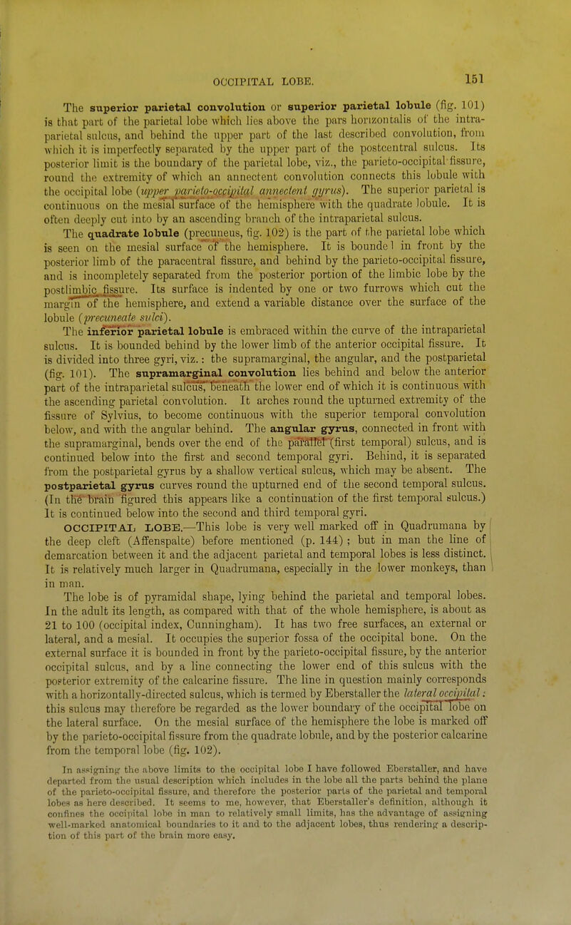 OCCIPITAL LOBE. The superior parietal convolution or superior parietal lobule (fig. 101) 18 that part of the parietal lobe which lies above the pars horizoinalis oi' the intra- parietal sulcus, and behind the upper part of the last described convolution, from wiiich it is imperfectly separated by the upper part of the postcentral sulcus. Its posterior limit is the boundary of the parietal lobe, viz., the parieto-occipital-fissure, round the e.xtremity of which an annectent convolution connects this lobule with the occipital lobe {upper^cmeto-ocQi^ital annecieni gyrus). The superior parietal is continuous on the mesTal surface of the hemisphere with the quadrate lobule. It is often deeply cut into by an ascending branch of the intraparietal sulcus. The quadrate lobule (precuneus, fig. 102) is the part of the parietal lobe which is seen on the mesial surface^o'f the hemisphere. It is boundel in front by the posterior limb of the paracentral fissure, and behind by the parieto-occipital fissure, and is incompletely separated from the posterior portion of the limbic lobe by the posthmbic,.fissure. Its surface is indented by one or two furrows which cut the raargTn of the hemisphere, and extend a variable distance over the surface of the lobule (precuneate sulci). The infe^or parietal lobule is embraced within the curve of the intraparietal sulcus. It is bounded behind by the lower limb of the anterior occipital fissure. It is divided into three gyri, viz.: the supramarginal, the angular, and the postparietal (fig. 101). The supramarginal convolution lies behind and below the anterior part of the intraparietal sulcus7 tTeiieath the lower end of which it is continuous with the ascending parietal convolution. It arches round the upturned extremity of the fissure of Sylvius, to become continuous with the superior temporal convolution below, and with the angular behind. The angular gyrus, connected in front with the supramarginal, bends over the end of the pal'a'lM'Xfii'st temporal) sulcus, and is continued below into the first and second temporal gyri. Behind, it is separated from the postparietal gyrus by a shallow vertical sulcus, which may be absent. The postparietal gyrus curves round the upturned end of the second temporal sulcus. (In the'hrain figured this appears like a continuation of the first temporal sulcus.) It is continued below into the second and third temporal gyri. OCCIPITAL LOBE.—This lobe is very well marked off in Quadrumana by the deep cleft (Affenspalte) before mentioned (p. 144) ; but in man the line of demarcation between it and the adjacent parietal and temporal lobes is less distinct. It is relatively much larger in Quadrumana, especially in the lower monkeys, than in man. The lobe is of pyramidal shape, lying behind the parietal and temporal lobes. In the adult its length, as compared with that of the whole hemisphere, is about as 21 to 100 (occipital index, Cunningham). It has two free surfaces, an external or lateral, and a mesial. It occupies the superior fossa of the occipital bone. On the external surface it is bounded in front by the parieto-occipital fissure, by the anterior occipital sulcus, and by a line connecting the lower end of this sulcus with the popterior extremity of the calcarine fissure. The line in question mainly corresponds with a horizontally-directed sulcus, which is termed by Eberstaller the MeT^occipital: this sulcus may therefore be regarded as the lower boundary of the occipilall'obe on the lateral surface. On the mesial surface of the hemisphere the lobe is marked off by the parieto-occipital fissure from the quadrate lobule, and by the posterior calcarine from the temporal lobe (fig. 102). In assigninpf the above limits to the occipital lobe I have followed Eberstaller, and have departed from the usual description which includes in the lobe all the parts behind the plane of the parieto-occipital fissure, and therefore the posterior parts of the parietal and temporal lobes as here described. It seems to me, however, that Eberstaller's definition, although it confines the occifutal lobe in man to relatively small limits, has the advantage of assigning well-marked anatomical boundaries to it and to the adjacent lobes, thus rendering a descrip- tion of this part of the brain more easy.