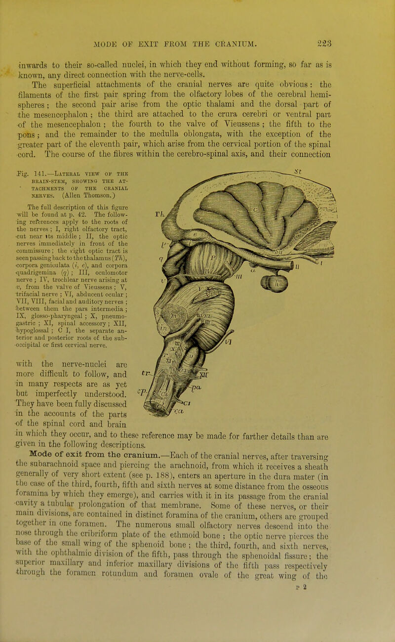 inwards to their so-called nuclei, in which they end without forming, so far as is known, any direct connection with the nerve-cells. The superficial attachments of the cranial nerves are quite obvious: the filaments of the first pair spring from the olfactory lobes of the cerebral hemi- sphei-es; the second pair arise from the optic thalami and the dorsal part of the mesencephalon ; the third are attached to the crura cerebri or ventral part of the mesencephalon ; the fourth to the valve of Vieussens ; the fifth to the pons ; and the remainder to the medulla oblongata, with the exception of the greater part of the eleventh pair, which arise from the cervical portion of the spinal •cord. The course of the fibres within the cerebro-spinal axis, and their connection Fig. 141.—Lateral view op the BUAIN-STEM, SHOWING THE AT- TACHMENTS OF THE OBANIAL N£RVES. (Allen Thomson.) Tlie full description of this figure will be found at p. 42. The follow- ing references apply to the roots of the nerves ; I, right olfactory tract, •cut near its middle ; II, the optic nerves immediately in front of the commissure; the l ight optic tract is seen passing back to the thalamus (T/t), corpora geniculata (/, c), and corpora •quadrigemina {q) ; III, oculomotor nerve ; IV, trochlear nerve arising at V, from the valve of Vieussens ; V, trifacial nerve ; VI, abducent ocular ; VII, YIII, facial and auditory nerves ; between them the pars intermedia; IX, glosso-pharyngeal ; X, pneumo- gastric ; XI, spinal accessory ; XII, Tiypoglossal ; C I, the separate an- terior and posterior roots of the sub- occipital or first cervical nerve. with the nerve-nuclei are more difficult to follow, and in many respects are as yet but imperfectly understood. They have been fully discussed in the accounts of the parts of the spinal cord and brain in which they occur, and to these reference may be made for farther details than are .given in the following descriptions. Mode of exit from the craniiim.—Each of the cranial nerves, after traversing the subarachnoid space and piercing the arachnoid, from which it receives a sheath generally of very short extent (see p. 188), enters an aperture in the dura mater (in the case of the third, fourth, fifth and sixth nerves at some distance from the osseous foramma by which they emerge), and carries with it in its passage fi'om the cranial ■cavity a tubular prolongation of that membrane. Some of these nerves, or their mam divisions, are contained in distinct foramina of the cranium, others are grouped together m one foramen. The numerous small olfactory nerves descend into the nose through the cribriform plate of the ethmoid bone ; the optic nerve pierces the base of the small wing of the sphenoid bone; the third, fourth, and sixth nerves, with the ophthalmic division of the fifth, pass through the sphenoidal fissure; the superior maxillary and inferior maxillary divisions of the fifth pass respectively through the foramen rotunduin and foramen ovale of the great wing of the F 2