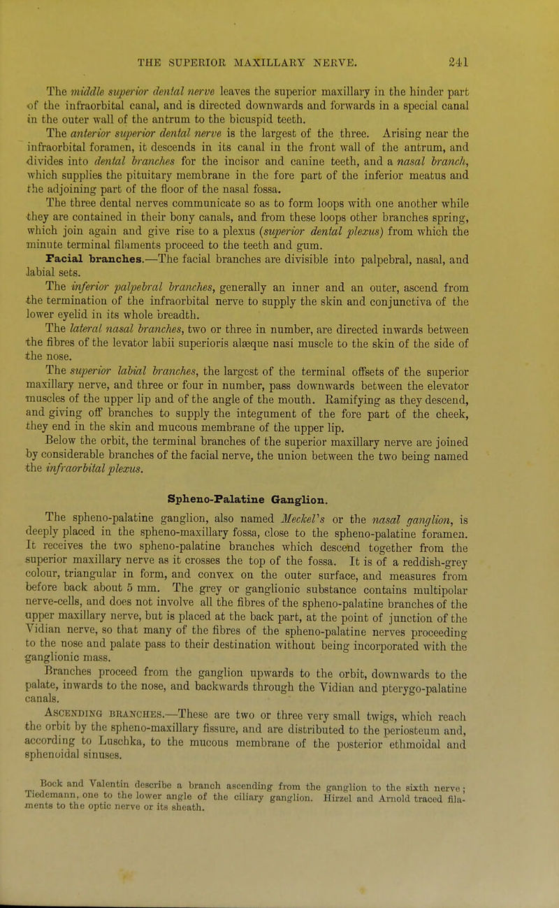 The middle sicpmior dental nerve leaves the superior maxillary in the hinder part of the infraorbital canal, and is directed downwards and forwards in a special canal in the outer wall of the antrum to the bicuspid teeth. The anterior superior denial nerve is the largest of the three. Arising near the infraorbital foramen, it descends in its canal in the front wall of the antrum, and ■divides into dental branches for the incisor and canine teeth, and a nasal Iranch, which supplies the pituitary membrane in the fore part of the inferior meatus and the adjoining part of the floor of the nasal fossa. The three dental nerves communicate so as to form loops with one another while they are contained in their bony canals, and from these loops other branches spring, which join again and give rise to a plexus {superior dental plexus) from which the minute terminal filaments proceed to the teeth and gum. Facial branches.—The facial branches are divisible into palpebral, nasal, and labial sets. The inferior palpebral branches, generally an inner and an outer, ascend from the termination of the infraorbital nerve to supply the skin and conjunctiva of the lower eyehd in its whole breadth. The lateral nasal branches, two or three in number, are directed inwards between the fibres of the levator labii superioris algeque nasi muscle to the skin of the side of the nose. The superior labial branches, the largest of the terminal offsets of the superior maxillary nerve, and three or four in number, pass downwards between the elevator muscles of the upper lip and of the angle of the mouth. Ramifying as they descend, and giving off branches to supply the integument of the fore part of the cheek, they end in the skin and mucous membrane of the upper lip. Below the orbit, the terminal branches of the superior maxillary nerve are joined by considerable branches of the facial nerve, the union between the two being named the infraorbital plexus. Spheuo-Falatine Ganglion. The spheno-palatine ganglion, also named MecM's or the nasal ganglio7i, is deeply placed in the spheno-maxillary fossa, close to the spheno-palatine foramen. It receives the two spheno-palatine branches which descend together from the superior maxillary nerve as it crosses the top of the fossa. It is of a reddish-grey colour, triangular in form, and convex on the outer surface, and measures from before back about 5 mm. The grey or ganglionic substance contains multipolar nerve-cells, and does not involve all the fibres of the spheno-palatine branches of the upper maxillary nerve, but is placed at the back part, at the point of junction of the Vidian nerve, so that many of the fibres of the spheno-palatine nerves proceeding to the nose and palate pass to their destination without being incorporated with the ganglionic mass. Branches proceed from the ganglion upwards to the orbit, downwards to the palate, inwards to the nose, and backwards through the Vidian and pterygo-palatine canals. Ascending branches.—These are two or three very small twigs, which reach the orbit by the spheno-maxillary fissure, and are distributed to the periosteum and, according to Luschka, to the mucous membrane of the posteriorethmoidal and sphenoidal sinuses. Bock and Valentin describe a branch ascending from the ganglion to the sixth nerve • Tiedemann, one to the lower angle of the ciliary ganglion. Hii-zel and Arnold traced lila- inents to the optic nerve or its sheath.