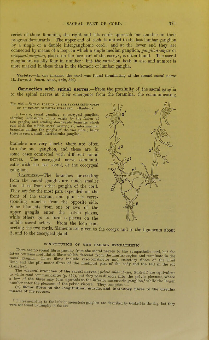 series of those foramina, the right and left cords approach one another in their progress downwards. The upper end of each is united to the last lumbar ganglion by a single or a double interganglionic cord ; and at the lower end they are connected by means of a loop, in which a single median ganglion, ganglion impar or coccygeal ganglion, placed on the fore part of the coccyx, is often found. The sacral ganglia are usually four in number ; but the variation both in size and number is more marked in these than in the thoracic or lumbar ganglia. Variety.—In one instance the cord was found terminating^ at the second sacral nerve (E. Fawcett, Joum. Anat., xxix, 329). Connection with spinal nerves.—From the proximity of the sacral ganglia to the spinal nerves at their emergence fi'om the foramina, the communicating Fig. 235.—Sacral portion of the sympathetic cords OF AN INFANT, SLIGHTLY ENLARGED. (Raubcr.) s 1—s 4, sacral ganglia ; c, coccygeal ganglion, showing indications of its origin by the fusion of two ganglia, and sending downwards branches which run with the middle sacral artery ; ri, interfunicular branches uniting the ganglia of the two sides ; below these is seen a small interfunicular ganglion. branches are very short: there are often two for one ganglion, and these are in some cases connected with different sacral nerves. The coccygeal nerve communi- cates with the last sacral, or the coccygeal ganglion. Branches.—The branches proceeding from the sacral ganglia are much smaller than those from other ganglia of the cord. They are for the most part expended on the front of the sacrum, and join the corre- sponding branches from the opposite side. Some filaments from one or two of the upper ganglia enter the pelvic plexus, while others go to form a plexus on the middle sacral artery. From the loop con- necting the two cords, filaments are given to the coccyx and to the ligaments about it, and to the coccygeal gland. CONSTITtlTION OP THE SAOEAL SYMPATHETIC. There are no spinal fibres passing from the sacral nerves to the sympathetic cord, but the latter contains meduUated fibres which descend from the lumbar region and terminate in the sacral gangha. These fibres include vaso-constrictor and secretory fibres of the hind limb, and the pilo-motor fibres of the hindmost part of the body and the tail in the cat (Langley). The visceral branches of the sacral nerves ipolvic splanchmcs, Gaskell) are equivalent to white rami communicantes (p. 359), but they pass directly into the pelvic plexuses, where a lew ot the fibres may turn upwards to the inferior mesenteric ganglion,» while the larger number enter the plexuses of the pelvic viscera. They comprise —- («) Motor fibres to the longitudinal muscle, and inhibitory fibres to the circular muscle of the rectum.