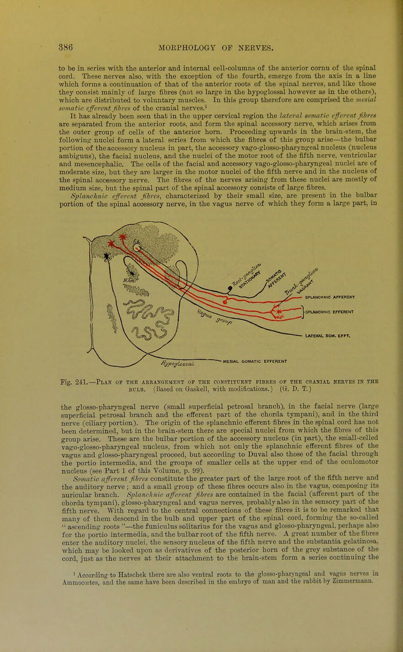 to be in series with the anterior and internal cell-columns of the anterior comu of the spinal cord. These nerves also, with the exception of the fourth, emerge from the axis in a line which forms a continuation of that of the anterior roots of the spinal nerves, and like those they consist mainly of large fibres (not so large in the hypoglossal however as in the others), which are distributed to voluntary muscles. In this group therefore are comprised the medial somatic ejfevent Jihren of the cranial nerves.' It has already been seen that in the upper cervical region the lateral somatic efferent jibrex are separated from the anterior roots, and form the spinal accessory nerve, which arises from the outer group of cells of the anterior horn. Proceeding upwards in the brain-stem, the following nuclei form a lateral series from which the fibres of this group arise—the bulbar portion of the accessory nucleus in part, the accessory vago-glosso-pharyngeal nucleus (nucleus ambiguus), the facial nucleus, and the nuclei of the motor root of the iifth nerve, ventricular and mesencephalic. The cells of the facial and accessory vago-glosso-pharyngeal nuclei are of moderate size, but they are larger in the motor nuclei of the fifth nerve and in the nucleus of the spinal accessory nerve. The fibres of the nerves arising from these nuclei are mostly of medium size, but the spinal part of the spinal accessory consists of large fibres. Splanchnic efferent Jibres, characterized by their small size, are present in the bulbar portion of the spinal accessory nerve, in the vagus nerve of which they foi-m a large part, in Fig. 241.—Plan op the arbangement op the constituent fibres op the cranial nerves in the BULB. (Based on Gaskell, with modifications.) (Gr. D. T.) the glosso-pharyngeal nerve (small superficial petrosal branch), in the facial nerve (large superficial petrosal branch and the efferent part of the chorda tympani), and in the third nerve (ciliary portion). The origin of the splanchnic efferent fibres in the spinal cord has not been determined, but in the brain-stem there are special nuclei from which the fibres of this group arise. These are the bulbar portion of the accessory nucleus (in part), the srdall-celled vago-glosso-pharyngeal nucleus, from which not only the splanchnic efferent fibres of the vagus and glosso-pharyngeal proceed, but according to Duval also those of the facial through the portio inteimedia, and the groups of smaller cells at the upper end of the oculomotor nucleus (see Part 1 of this Volume, p. 99). Somatic afferent Jihi-es constitute the greater part of the large root of the fifth nerve and the auditory nerve ; and a small group of these fibres occurs also in the vagus, composing its auricular branch. Splanchnic afferent fihres are contained in the facial (afferent part of the chorda tympani), glosso-pharyngeal and vagus nerves, probably also in the sensory part of the fifth nerve. With regard to the central connections of these fibres it is to be remarked that many of them descend in the bulb and upper part of the spinal cord, forming the so-called  ascending roots —the funiculus solitarius for the vagus and glosso-pharjTigeal, perhaps also for the portio intermedia, and the bulbar root of the fifth nerve. A great number of the fibres enter the auditory nuclei, the sensory nucleus of the fifth nerve and the substantia gelatinosa, which may be looked upon as derivatives of the posterior horn of the grey substance of the cord, just as the nerves at their attachment to the brain-stem form a series continuing the ' According to Hatschek there are also ventral roots to the glosso-pharyngeal and vagus nen-es in A.mmocoetes, and the same have been described in the embryo of man and the i-abbit by Zimmermann.