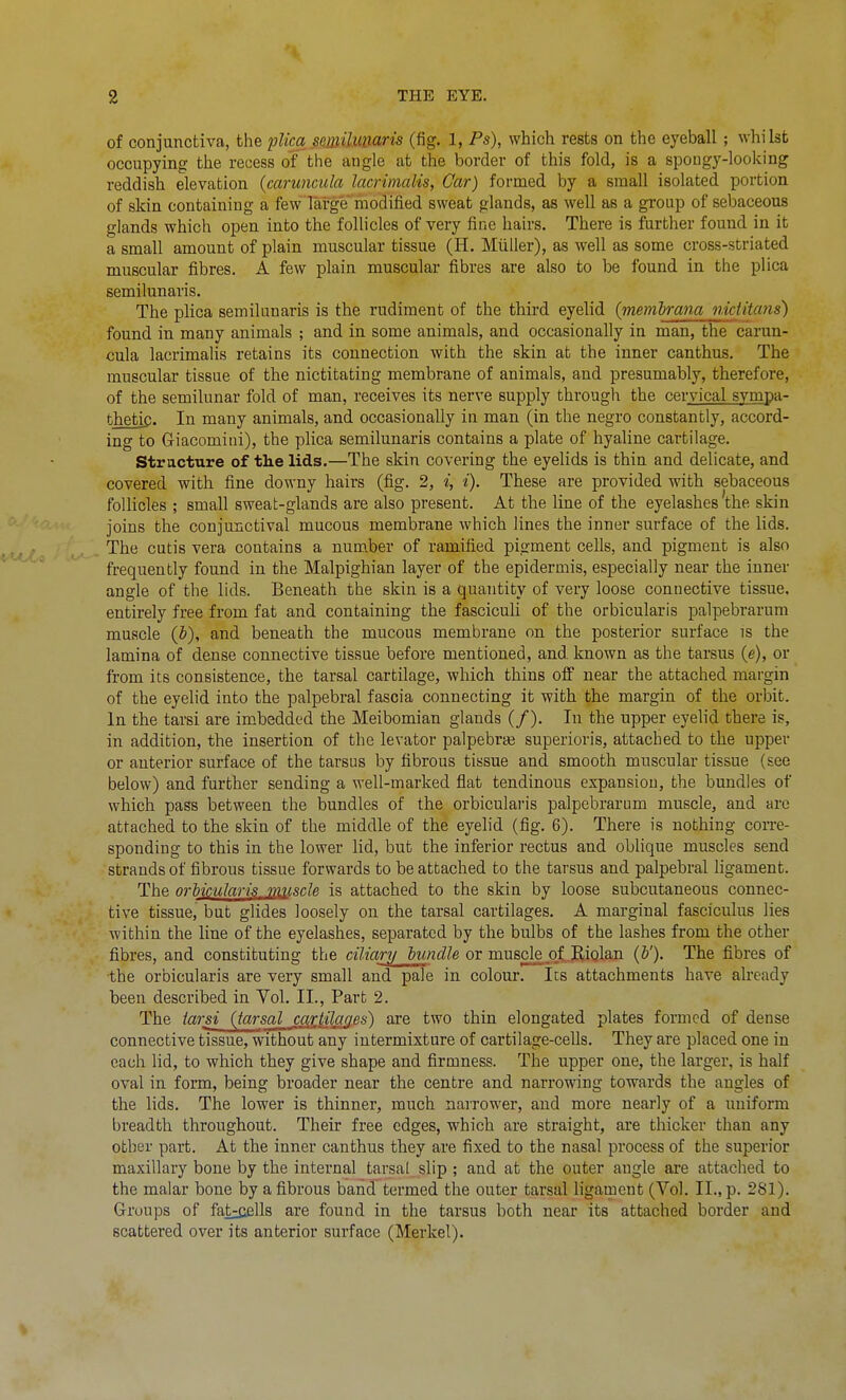 of conjunctivca, the plica smilunaris (fig. 1, Ps), which rests on the eyeball; whi lst occupying the recess of the angle at the border of this fold, is a spoogy-looking reddish elevation {caruncula lacrimalis, Gar) formed by a small isolated portion of skin containing a few large modified sweat glands, as well as a group of sebaceous glands which open into the follicles of very fine hairs. There is further found in it a small amount of plain muscular tissue (H. Miiiler), as well as some cross-striated muscular fibres. A few plain muscular fibres are also to be found in the plica semilunaris. The plica semilanaris is the rudiment of the third eyelid (memirana nictitans) found in many animals ; and in some animals, and occasionally in man, the carun- cula lacrimalis retains its connection with the skin at the inner canthus. The muscular tissue of the nictitating membrane of animals, and presumably, therefore, of the semilunar fold of man, receives its nerve supply through the cervical svmpa- thetig. In many animals, and occasionally in man (in the negro constantly, accord- ing to Griacomini), the plica semilunaris contains a plate of hyaline cartilage. Stracture of the lids.—The skin covering the eyelids is thin and delicate, and covered with fine downy hairs (fig. 2, i, i). These are provided with sebaceous follicles ; small sweat-glands are also present. At the line of the eyelashes the skin joins the conjunctival mucous membrane which lines the inner surface of the lids. The cutis vera contains a num.ber of ramified pigment cells, and pigment is also frequently found in the Malpighian layer of the epidermis, especially near the inner angle of the lids. Beneath the skin is a quantity of very loose connective tissue, entirely free from fat and containing the fasciculi of the orbicularis palpebrarum muscle (J), and beneath the mucous membrane on the posterior surface is the lamina of dense connective tissue before mentioned, and known as the tarsus (e), or from its consistence, the tarsal cartilage, which thins off near the attached margin of the eyelid into the palpebral fascia connecting it with the margin of the orbit. In the tarsi are imbedded the Meibomian glands (/). In the upper eyelid there is, in addition, the insertion of the levator palpebral superioris, attached to the upper or anterior surface of the tarsus by fibrous tissue and smooth muscular tissue (see below) and further sending a well-marked flat tendinous expansiou, the bundles of which pass between the bundles of the orbicularis palpebrarum muscle, and are attached to the skin of the middle of the eyelid (fig. 6). There is nothing corre- sponding to this in the lower lid, but the inferior rectus and oblique muscles send strands of fibrous tissue forwards to be attached to the tarsus and palpebral ligament. The orbicularis, muscle is attached to the skin by loose subcutaneous connec- tive tissue, but glides loosely on the tarsal cartilages. A marginal fasciculus lies within the line of the eyelashes, separated by the bulbs of the lashes from the other fibres, and constituting the ciliary lundle or muscle of Riolan (&'). The fibres of the orbicularis are very small and pale in colour. Its attachments have already been described in Vol. II., Part 2. The tarsi (tarsal cariilaass) are two thin elongated plates formed of dense connective tissue, without any intermixture of cartilage-cells. They are placed one in each lid, to which they give shape and firmness. The upper one, the larger, is half oval in form, being broader near the centre and narrowing towards the angles of the lids. The lower is thinner, much nairower, and more nearly of a uniform breadth throughout. Their free edges, which are straight, are thicker than any other part. At the inner canthus they are fixed to the nasal process of the superior maxillary bone by the internal tarsal slip ; and at the outer angle are attached to the malar bone by a fibrous band termed the outer tarsal ligament (Vol. II., p. 281). Groups of fatj^ells are found in the tarsus both near its attached border and scattered over its anterior surface (Merkel).