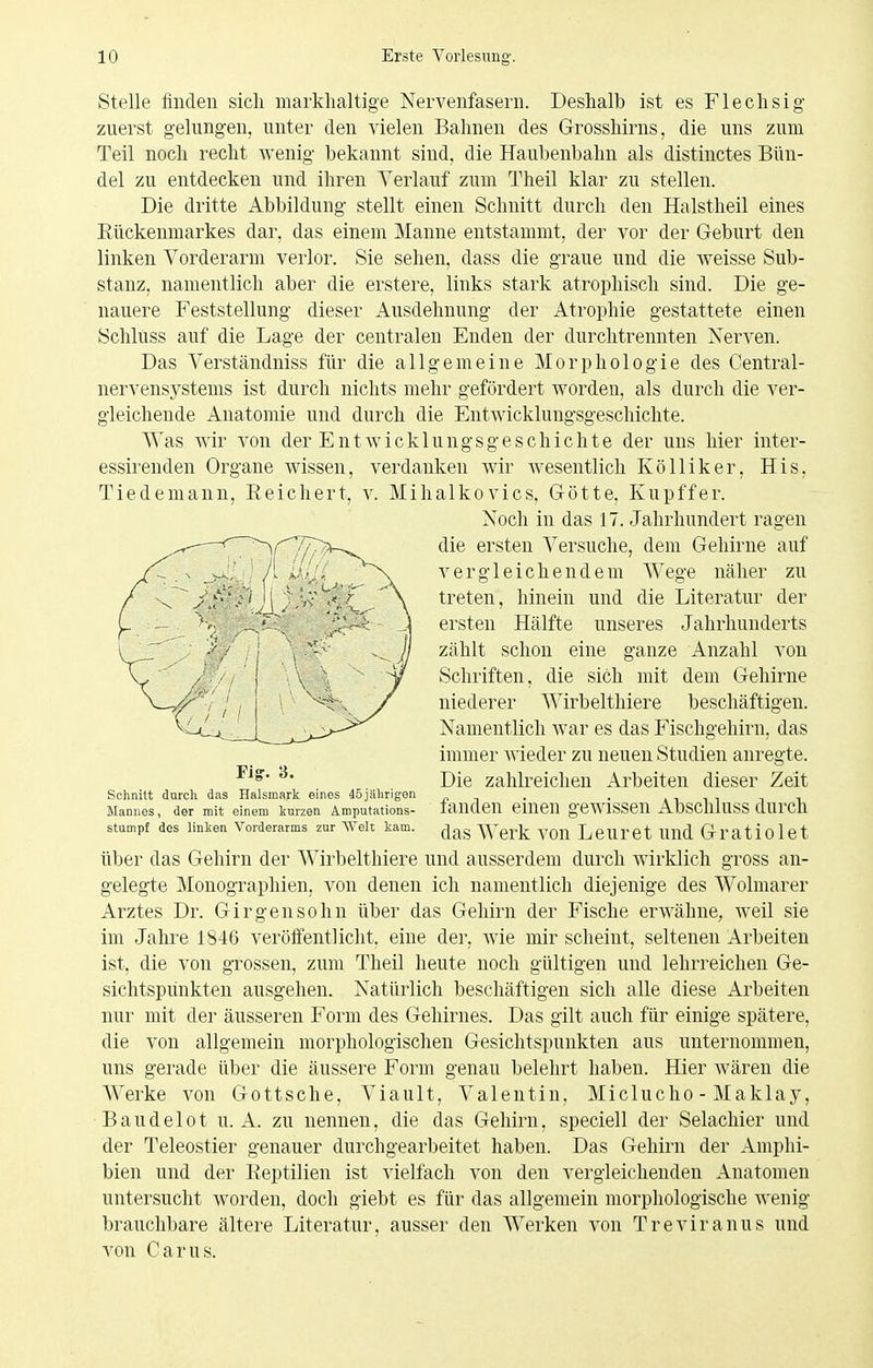 Stelle finden sich markhaltige Nervenfasern. Deshalb ist es Flechsig- zuerst gelungen, unter den vielen Bahnen des Grosshirns, die uns zum Teil noch recht wenig bekannt sind, die Haubenbahn als distinctes Bün- del zu entdecken und ihren Verlauf zum Theil klar zu stellen. Die dritte Abbildung stellt einen Schnitt durch den Halstheil eines Eückenmarkes dar, das einem Manne entstammt, der vor der Geburt den linken Vorderarm verlor. Sie sehen, dass die graue und die weisse Sub- stanz, namentlich aber die erstere, links stark atrophisch sind. Die ge- nauere Feststellung dieser Ausdehnung der Atrophie gestattete einen Schlüss auf die Lage der centralen Enden der durchtrennten Nerven. Das Verständniss für die allgemeine Morphologie des Centrai- nervensystems ist durch nichts mehr gefördert Avorden, als durch die ver- gleichende Anatomie und durch die Entwicklungsgeschichte. Was wir von der EntAvicklungsgeschichte der uns hier inter- essirenden Organe wissen, verdanken wir wesentlich Kölliker, His, Tiedemann, Reichert, v. Mihalkovics, Götte, Kupffer. über das Gehirn der Wirbelthiere und ausserdem durch wirklich gross an- gelegte Monographien, von denen ich namentlich diejenige des Weimarer Arztes Dr. Gir gen söhn über das Gehirn der Fische erwähne, weil sie im Jahre 1846 veröffentlicht, eine der, wie mir scheint, seltenen Arbeiten ist, die von grossen, zum Theil heute noch gültigen und lehrreichen Ge- sichtspunkten ausgehen. Natürlich beschäftigen sich alle diese Arbeiten nur mit der äusseren Form des Gehirnes. Das gilt auch für einige spätere, die von allgemein morphologischen Gesichtspunkten aus unternommen, uns gerade über die äussere Form genau belehrt haben. Hier wären die Werke von Gottsche, Viault, Valentin. Miclucho - Maklay, Baudelot u. A. zu nennen, die das Gehirn, speciell der Selacliier und der Teleostier genauer durchgearbeitet haben. Das Gehirn der Amphi- bien und der Reptilien ist vielfach von den vergleichenden Anatomen untersucht worden, doch giebt es für das allgemein morphologische wenig brauchbare ältere Literatur, ausser den Werken von Treviranus und von Carus. Noch in das 17. Jahrhundert ragen die ersten Versuche, dem Gehirne auf vergleichendem Wege näher zu treten, hinein und die Literatur der ersten Hälfte unseres Jahrhunderts zählt schon eine ganze Anzahl von Schriften, die sich mit dem Gehirne niederer Wirbelthiere beschäftigen. Namentlich war es das Fischgehirn, das immer Avieder zu neuen Studien anregte. Die zahlreichen Arbeiten dieser Zeit fanden einen gewissen Abschluss durch das Werk von Leuret und Gratiolet