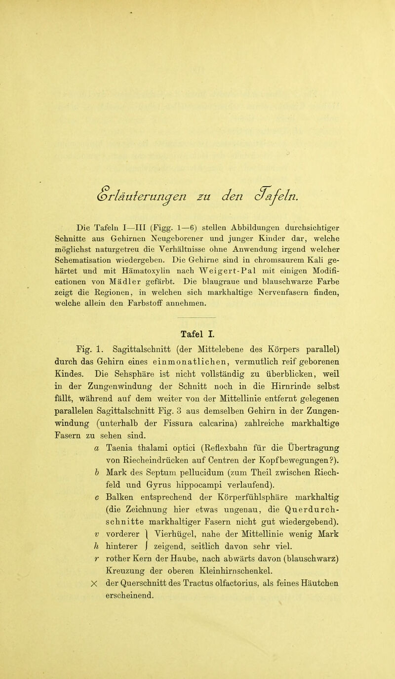 en. zu en %ifeln. Die Tafeln I—III (Figg. 1—6) stellen Abbildungen durchsichtiger Schnitte aus Gehirnen Neugeborener und junger Kinder dar, welche möglichst naturgetreu die Verhältnisse ohne Anwendung irgend welcher Schematisation wiedergeben. Die Gehirne sind in chromsaurem Kali ge- härtet und mit Hämatoxylin nach Weigert-Pal mit einigen Modifi- cationen von Mädler gefärbt. Die blaugraue und blauschwarze Farbe zeigt die Regionen, in welchen sich markhaltige Nervenfasern finden, welche allein den Farbstoff annehmen. Tafel I. Fig. 1. Sagittalschnitt (der Mittelebene des Körpers parallel) durch das Gehirn eines einmonatlichen, vermutlich reif geborenen Kindes. Die Sehsphäre ist nicht vollständig zu überblicken, weil in der Zungenwindung der Schnitt noch in die Hirnrinde selbst fällt, während auf dem weiter von der Mittellinie entfernt gelegenen parallelen Sagittalschnitt Fig. 3 aus demselben Gehirn in der Zungen- windung (unterhalb der Fissura calcarina) zahlreiche markhaltige Fasern zu sehen sind. a Taenia thalami optici (Reüexbahn für die Übertragung von Riecheindrücken auf Centren der Kopfbewegungen?). h Mark des Septum pellucidum (zum Theil zwischen Riech- feld und Gyrus hippocampi verlaufend). c Balken entsprechend der Körperfühlsphäre markhaltig (die Zeichnung hier etwas ungenau, die Querdurch- schnitte markhaltiger Fasern nicht gut wiedergebend). V vorderer | Vierhügel, nahe der Mittellinie wenig Mark h hinterer j zeigend, seitlich davon sehr viel. r rother Kern der Haube, nach abwärts davon (blauschwarz) Kreuzung der oberen Kleinhirn Schenkel. X der Querschnitt des Tractus olfactorius, als feines Häutchen erscheinend.