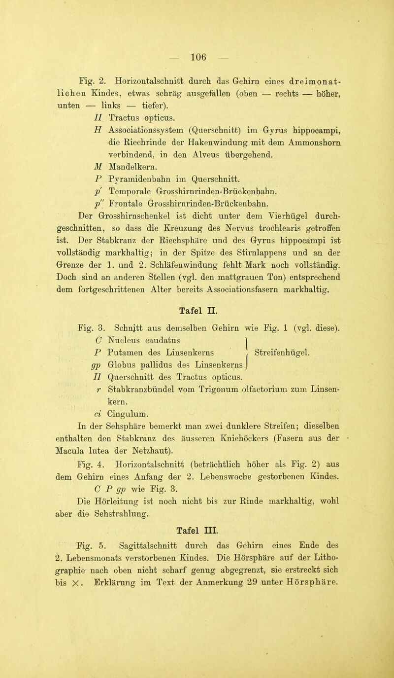 Fig. 2. Horizontalschnitt durch das Gehirn eines dreimonat- lichen Kindes, etwas schräg ausgefallen (oben — rechts — höher, unten — links — tiefer). //. Tractus opticus. H Associationssystem (Querschnitt) im Gyrus hippocampi, die Riechrinde der Hakenwindung mit dem Ammonshorn verbindend, in den Alveus übergehend. M Mandelkern. P Pyramidenbahn im Querschnitt. p Temporale Grosshirnrinden-Brückenbahn. p Frontale Grosshirnrinden-Brückenbahn. Der Grosshirnschenkel ist dicht unter dem Vierhügel durch- geschnitten, so dass die Kreuzung des Nervus trochlearis getroffen ist. Der Stabkranz der Riechsphäre und des Gyrus hippocampi ist vollständig markhaltig; in der Spitze des Stirnlappens und an der Grenze der 1. und 2. Schläfenwindung fehlt Mark noch vollständig. Doch sind an anderen Stellen (vgl. den mattgrauen Ton) entsprechend dem fortgeschrittenen Alter bereits Associationsfasern markhaltig. Tafel II. Fig. 3. Schnitt aus demselben Gehirn wie Fig. 1 (vgl. diese). C Nucleus caudatus | P Putamen des Linsenkerns , Streifenhügel. gp Globus pallidus des Linsenkerns J II Querschnitt des Tractus opticus. r Stabkranzbündel vom Trigonum olfactorium zum Linsen- kern. ci Cingulum. In der Sehsphäre bemerkt man zwei dunklere Streifen; dieselben enthalten den Stabki'anz des äusseren Kniehöckers (Fasern aus der ■ Macula lutea der Netzhaut). Fig. 4. Horizontalschnitt (beträchtlich höher als Fig. 2) aus dem Gehirn eines Anfang der 2. Lebenswoche gestorbenen Kindes. C P gp wie Fig. 3. Die Hörleitung ist noch nicht bis zur Rinde markhaltig, wohl aber die Sehstrahlung. Tafel ni. Fig. 5. Sagittalschnitt durch das Gehirn eines Ende des 2. Lebensmonats verstorbenen Kindes. Die Hörsphäre auf der Litho- graphie nach oben nicht scharf genug abgegrenzt, sie erstreckt sich bis X. Erklärung im Text der Anmerkung 29 unter Hörsphäre.