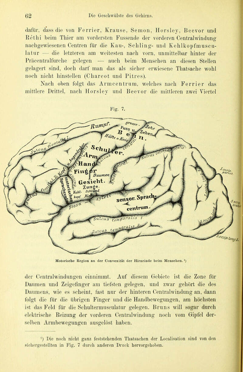 dafür, dass die von Ferrier, Krause, Semon, Horsley, Beevor und ßethi beim Thier am vordersten Fiissende der vorderen Centralwindunff nachgewiesenen Centren für die Kau-, Schling- und Kehlkopfrauscu- latur — die letzteren am weitesten nach vorn, unmittelbar hinter der Präcentraifurche gelegen ■— auch beim Menschen an diesen Stellen gelagert sind, doch darf man das als sicher erwiesene Thatsache wohl noch nicht hinstellen (Charcot und Pitres). Nach oben folgt das Armcentrum, welches nach Ferrier das mittlere Drittel, nach Horsley und Beevor die mittleren zwei Viertel Fig. 7. Motorische Region an der Convexität der Hirnrinde beim Menschen.') der Oentralwindungen einnimmt. Auf diesem Gebiete ist die Zone für Daumen und Zeigefinger am tiefsten gelegen, und zwar gehört die des Daumens, wie es scheint, fast nur der hinteren Centraiwindung an. dann folgt die für die übrigen Finger und die Handbewegungen, am höchsten ist das Feld für die Schultermusculatur gelegen. Bruns will sogar durch elektrische Eeizung der vorderen Centraiwindung noch vom Gipfel der- selben Armbewegungen ausgelöst haben. ') Die noch nicht ganz feststehenden Thatsaehen der Localisation sind von den sielicrgestellten in Fig. 7 durch anderen Druck hervorgehoben.