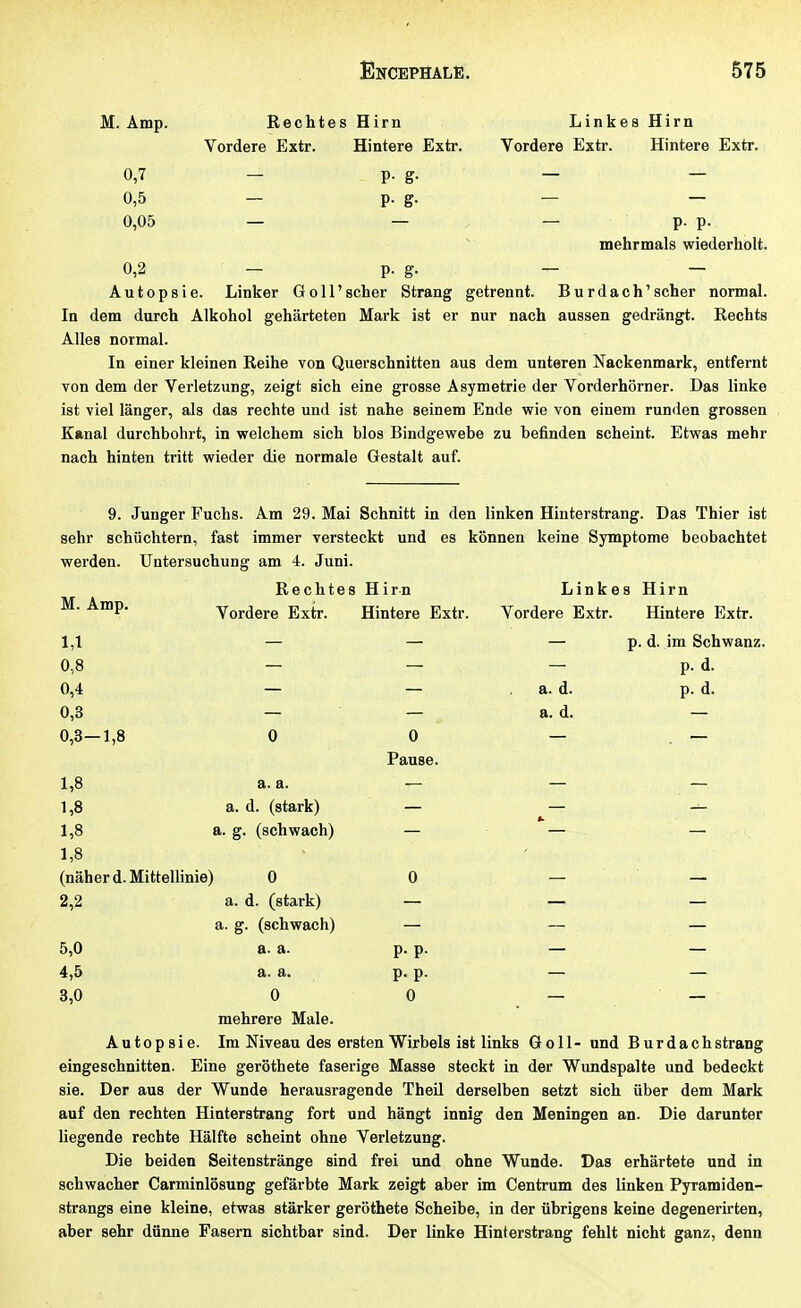 M. Amp. Rechtes Hirn Linkes Hirn Vordere Extr. Hintere Extr. Vordere Extr. Hintere Extr. 0,7 - p. g. - — 0,5 — p. g. — — 0,05 — — — p. p. mehrmals wiederholt. 0,2 - p. g. - - Autopsie. Linker Göll' scher Strang getrennt. B u r d a c h ' scher normal. In dem durch Alkohol gehärteten Mark ist er nur nach aussen gedrängt. Rechts Alles normal. In einer kleinen Reihe von Querschnitten aus dem unteren Nackenmark, entfernt von dem der Verletzung, zeigt sich eine grosse Asymétrie der Vorderhörner. Das linke ist viel länger, als das rechte und ist nahe seinem Ende \yie von einem runden grossen Kanal durchbohrt, in vyelchem sich blos Bindgewebe zu befinden scheint. Etwas mehr nach hinten tritt wieder die normale Gestalt auf. 9. Junger Fuchs. Am 29. Mai Schnitt in den linken Hinterstrang. Das Thier ist sehr schüchtern, fast immer versteckt und es können keine Symptome beobachtet werden. Untersuchung am 4. Juni. Rechtes Hirn Linkes Hirn M. Amp. Vordere Extr. Hintere Extr. Vordere Extr. Hintere Extr. 1.1 — — — p. d. im Schwanz. 0,8 — — — p. d. 0,4 — — , a. d. p. d. 0,3 — — a. d. — 0,3—1,8 0 0 — . — Pause. 1,8 a. a. — — — 1,8 a. d. (stark) — — — 1,8 a. g. (schwach) — — — 1,8 (näher d. Mittellinie) 0 0 — — 2.2 a. d. (stark) _ _ a. g. (schwach) — — — 5,0 a. a. p. p. — — 4,5 a. a. p. p. — — 3,0 0 0 _ _ mehrere Male. Autopsie. Im Niveau des ersten Wirbels ist links Göll- und B u r d a c h sträng eingeschnitten. Eine geröthete faserige Masse steckt in der Wundspalte und bedeckt sie. Der aus der Wunde herausragende Theil derselben setzt sich über dem Mark auf den rechten Hinterstrang fort und hängt innig den Meningen an. Die darunter liegende rechte Hälfte scheint ohne Verletzung. Die beiden Seitenstränge sind frei und ohne Wunde. Das erhärtete und in schwacher Carminlösung gefärbte Mark zeigt aber im Centrum des linken Pyramiden- strangs eine kleine, etwas stärker geröthete Scheibe, in der übrigens keine degenerirten, aber sehr dünne Fasern sichtbar sind. Der linke Hinterstrang fehlt nicht ganz, denn