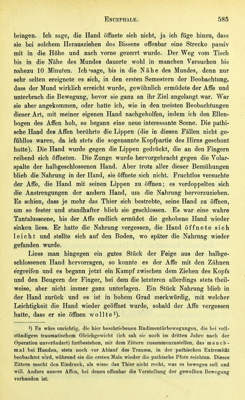 bringen. Ich sage, die Hand öffnete sich nicht, ja ich füge hinzu, dass sie bei solchem Herausziehen des Bissens offenbar eine Strecke passiv mit in die Höhe und nach vorne gezerrt wurde. Der Weg vom Tisch bis in die Nähe des Mundes dauerte wohl in manchen Versuchen bis nahezu 10 Minuten. Ich-sage, bis in die Nähe des Mundes, denn nur sehr selten ereignete es sich, in den ersten Semestern der Beobachtung, dass der Mund wirklich erreicht wurde, gewöhnlich ermüdete der Affe und unterbrach die Bewegung, bevor sie ganz an ihr Ziel angelangt war. War sie aber angekommen, oder hatte ich, wie in den ipeisten Beobachtungen dieser Art, mit meiner eigenen Hand nachgeholfen, indem ich den Ellen- bogen des Affen hob, so begann eine neue interessante Scene. Die pathi- sche Hand des Affen berührte die Lippen (die in diesen Fällen nicht ge- fühllos waren, da ich stets die sogenannte Kopfpartie des Hirns geschont hatte). Die Hand wurde gegen die Lippen gedrückt, die an den Fingern reibend sich öffneten. Die Zunge wurde hervorgebracht gegen die Volar- spalte der halbgeschlossenen Hand. Aber trotz aller dieser Bemühungen blieb die Nahrung in der Hand, sie öffnete sich nicht. Fruchtlos versuchte der Affe, die Hand mit seinen Lippen zu öflfnen ; es verdoppelten sich die Anstrengungen der andern Hand, um die Nahrung hervorzuziehen. Es schien, dass je mehr das Thier sich bestrebte, seine Hand zu öffnen, um so fester und standhafter blieb sie geschlossen. Es war eine wahre Tantalusscene, bis der Affe endlich ermüdet die gehobene Hand wieder sinken Hess. Er hatte die Nahrung vergessen, die Hand öffnete sich leicht und stellte sich auf den Boden, wo später die Nahrung wieder gefunden wurde. Liess man hingegen ein gutes Stück der Feige aus der halbge- schlossenen Hand hervorragen, so konnte es der Affe mit den Zähnen ergreifen und es begann jetzt ein Kampf zwischen dem Ziehen des Kopfs und den Beugern der Finger, bei dem die letzteren allerdings stets theil- weise, aber nicht immer ganz unterlagen. Ein Stück Nahrung blieb in der Hand zurück und es ist in hohem Grad merkwürdig, mit welcher Leichtigkeit die Hand wieder geöffnet wurde, sobald der Affe vergessen hatte, dass er sie öffnen wollte^). 1) Es wäre unrichtig, die hier beschriebenen Rudimentärbewegungen, die bei voll- ständigem traumatischem Gleichgewicht (ich sah sie noch im dritten Jahre nach der Operation unverändert) fortbestehen, mit dem Zittern zusammenzustellen, das manch- mal bei Hunden, stets noch vor Ablauf des Trauma, in der pathischen Extremität beobachtet wird, während sie die ersten Male wieder die pathische Pfote reichten. Dieses Zittern macht den Eindruck, als wisse das Thier nicht recht, was es bewegen soll und will. Anders unsere Affen, bei denen offenbar die Verstellung der gewollten Bewegung vorhanden ist.