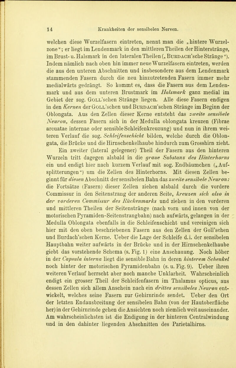 welchen diese Wurzelfasern eintreten, nennt man die „ hintere Wurzel- zone; er liegt im Lendenmark in den mittleren Theilen der Hinterstränge, im Brust-u. Halsmark in den lateralen Theilen („BuRDACH'sche Stränge). Indem nämlich nach oben hin immer neue Wurzelfasern eintreten, werden die aus den unteren Abschnitten und insbesondere aus dem Lendenmark stammenden Fasern durch die neu hinzutretenden Fasern immer mehr medialwärts gedrängt. So kommt es, dass die Fasern aus dem Lenden- mark und aus dem unteren Brustmark im Halsmark ganz medial im Gebiet der sog. GoLL'schen Stränge liegen. Alle diese Fasern endigen in den Kernen der GOLL'schen und BuKDACH'schen Stränge im Beginn der Oblongata. Aus den Zellen dieser Kerne entsteht das zweite sensihele Neuron, dessen Fasern sich in der MeduUa oblongata kreuzen (Fibrae arcuatae internae oder sensible Schleifenkreuzung) und nun in ihrem wei- teren Verlauf die sog. Schleifenschicht bilden, welche durch die Oblon- gata, die Brücke und die Hirnschenkelhaube hindurch zum Grosshirn zieht. Ein zweiter (lateral gelegener) Theil der Fasern aus den hinteren Wurzeln tritt dagegen alsbald in die graue Substanz des Hinlerhorns ein und endigt hier nach kurzem Verlauf mit sog. Endbäumchen („ Auf- splitterungen) um die Zellen des Hinterhorns. Mit diesen Zellen be- ginnt für diesen Abschnitt der sensibelen Bahn das zweite sensibele Neuron: die Fortsätze (Fasern) dieser Zellen ziehen alsbald durch die vordere Commissur in den Seitenstrang der anderen Seite, kreuzen sich also in der vorderen Commissur des Rückenmarks und ziehen in den vorderen und mittleren Theilen der Seitenstränge (nach vorn und innen von der motorischen Pyramiden-Seitenstrangbahn) nach aufwärts, gelangen in der MeduUa Oblongata ebenfalls in die Schleifenschicht und vereinigen sich hier mit den oben beschriebenen Fasern aus den Zellen der Goll'schen und Burdach'schen Kerne. Ueber die Lage der Schleife d.i. der sensibelen Hauptbahn weiter aufwärts in der Brücke und in der Hirnschenkelhaube giebt das vorstehende Schema (s. Fig. 1) eine Anschauung. Noch höher in der Capsula interna liegt die sensible Bahn in deren hinterem Schenkel noch hinter der motorischen Pjramidenbahn (s. u. Fig. 9). Ueber ihren weiteren Verlauf herrscht aber noch manche Unklarheit. Wahrscheinlich endigt ein grosser Theil der Schleifenfasern im Thalamus opticus, aus dessen Zellen sich allem Anschein nach ein drittes sensibeles Neuron ent- wickelt, welches seine Fasern zur Gehirnrinde sendet. Ueber den Ort der letzten Endausbreitung der sensibelen Bahn (von der Hautoberfläche her) in der Gehirnrinde gehen die Ansichten noch ziemlich weit auseinander. Am wahrscheinlichsten ist die Endigung in der hinteren Centraiwindung und in den dahinter liegenden Abschnitten des Parietalhirns.