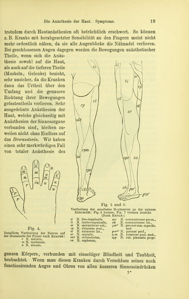 cl Ii trotzdem durch Hautapästhesien oft beträchtlich erschwert. So können z. B. Kranke mit herabgesetzter Sensibilität an den Fingern meist nicht mehr ordentlich nähen, da sie alle Augenblicke die Nähnadel verlieren. Bei geschlossenen Augen dagegen werden die Bewegungen anästhetischer Theile, wenn sich die Anäs- thesie sowohl auf die Haut, als auch auf die tieferen Theile (Muskeln, Gelenke) bezieht, sehr unsicher, da die Kranken dann das Urtheil über den Umfang und die genauere Richtung ihrer Bewegungen grösstentheils verlieren. Sehr ausgedehnte Anästhesien der Haut, welche gleichzeitig mit Anästhesien der Sinnesorgane verbunden sind, bleiben zu- weilen nicht ohne Einfluss auf das Bewusstsein. Wir haben einen sehr merkwürdigen Fall von totaler Anästhesie des ep Fig. 5 und 6. Vertheilungr der sensibelen Hautnerven an der unteren Extremität: Fig. 6 hintere, Fipr. 7 vordere Ansicht. (Nach Henle.) Fig. 4. Detaillirte Vertheilung der Nerven auf der Dorsalseite der Finger nach Krause : r N. radialis, m N. medianus, u N. ulnaris. N. ileo-ingninalis. N. lunabo-inguinalis, ie N. spermaticus ext., cp N. cutaneus post., cl N. cutaneus lat., er N. cruralis, obt N. obturatorius, sa N. saphenus. Ii cpe cli per' N. communicans peron., N. communicans tib., N. peronei ram. supeifio. und N. peronei prof., N. cutaneus post. med., N. cut. plantaris propr. ganzen Körpers, verbunden mit einseitiger Blindheit und Taubheit, beobachtet. Wenn mau diesen Kranken durch Verschluss seines noch functionirenden Auges und Ohres von allen äusseren Sinneseindrücken 2*