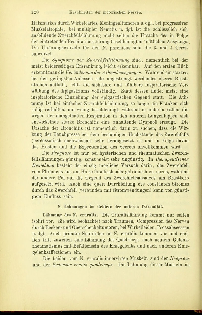 Halsmarkes durchWirbelcaries, Meniiigealtumoren u.dgl., bei progressiver Muskelatrophie, bei multipler Neuritis u. dgl. ist die schliesshch sich ausbildende Zwerchfellslähmung nicht selten die Ursache des in Folge der eintretenden Eespirationsstörung beschleunigten tödtlichen Ausgangs.. Die TJrsprungswurzeln für den N. phrenicus sind die 3. und 4. Cervi- calwurzel. Die Symptome de?' Zwerchfellslähmung sind, namentlich bei der meist beiderseitigen Erkrankung, leicht erkennbar. Auf den ersten Blick erkennt man die Veränderujig der Athembewegungen. Während ein starkes, bei den geringsten Anlässen sehr angestrengt werdendes oberes Brust- athmen auffällt, fehlt die sichtbare und fühlbare inspiratorische Vor- wölbung des Epigastriums vollständig. Statt dessen findet meist eine inspiratorische Einziehung der epigastrischen Gegend statt. Die Ath- mung ist bei einfacher Zwerchfellslähmung, so lange die Kranken sich ruhig verhalten, nur wenig beschleunigt, während in anderen Fällen die wegen der mangelhaften Respiration in den unteren Lungenlappen sich entwickelnde starke Bronchitis eine anhaltende Dyspnoe erzeugt. Die Ursache der Bronchitis ist namentlich darin zu suchen, dass die Wir- kung der Bauchpresse bei dem beständigen Hochstande des Zwerchfells (percussorisch nach weisbar j sehr herabgesetzt ist und in Folge davon das Husten und die Expectoration des Secrets unvollkommen wird. Die Progjiose ist nur bei hysterischen und rheumatischen Zwerch- fellslähmungen günstig, sonst meist sehr ungünstig. In therapeutischer Beziehung besteht der einzig mögliche Versuch darin, das Zwerchfell vom Phrenicus aus am Halse faradisch oder galvanisch zu reizen, während der andere Pol auf die Gegend des Zwerchfellsansatzes am Brustkorb aufgesetzt wird. Auch eine quere Durchleitung des constanten Stromes durch das Zwerchfell (verbunden mit Stromwendungen) kann von günsti- gem Einfluss sein. 8. Lähniungeu im (icbiete der iiutcrcu Extremität. Lähmung: des cruralis. Die Cruralislähmung kommt nur selten isolirt vor. Sie wird beobachtet nach Traumen, Compression des Nerven durch Becken- und Oberschenkeltumoren, bei Wirbelleiden, Psoasabscessen u. dgl. Auch primäre Neuritiden im N. cruralis kommen vor und end- lich tritt zuweilen eine Lähmung des Quadriceps nach acutem Gelenk- rheumatismus mit Befallensein des Kniegelenks und nach anderen Knie- gelenksaflfectionen ein. Die beiden vom N. cruralis innervirten Muskeln sind der Ileopsoas und der Extensor cruris quadriceps. Die Lähmung dieser Muskeln ist