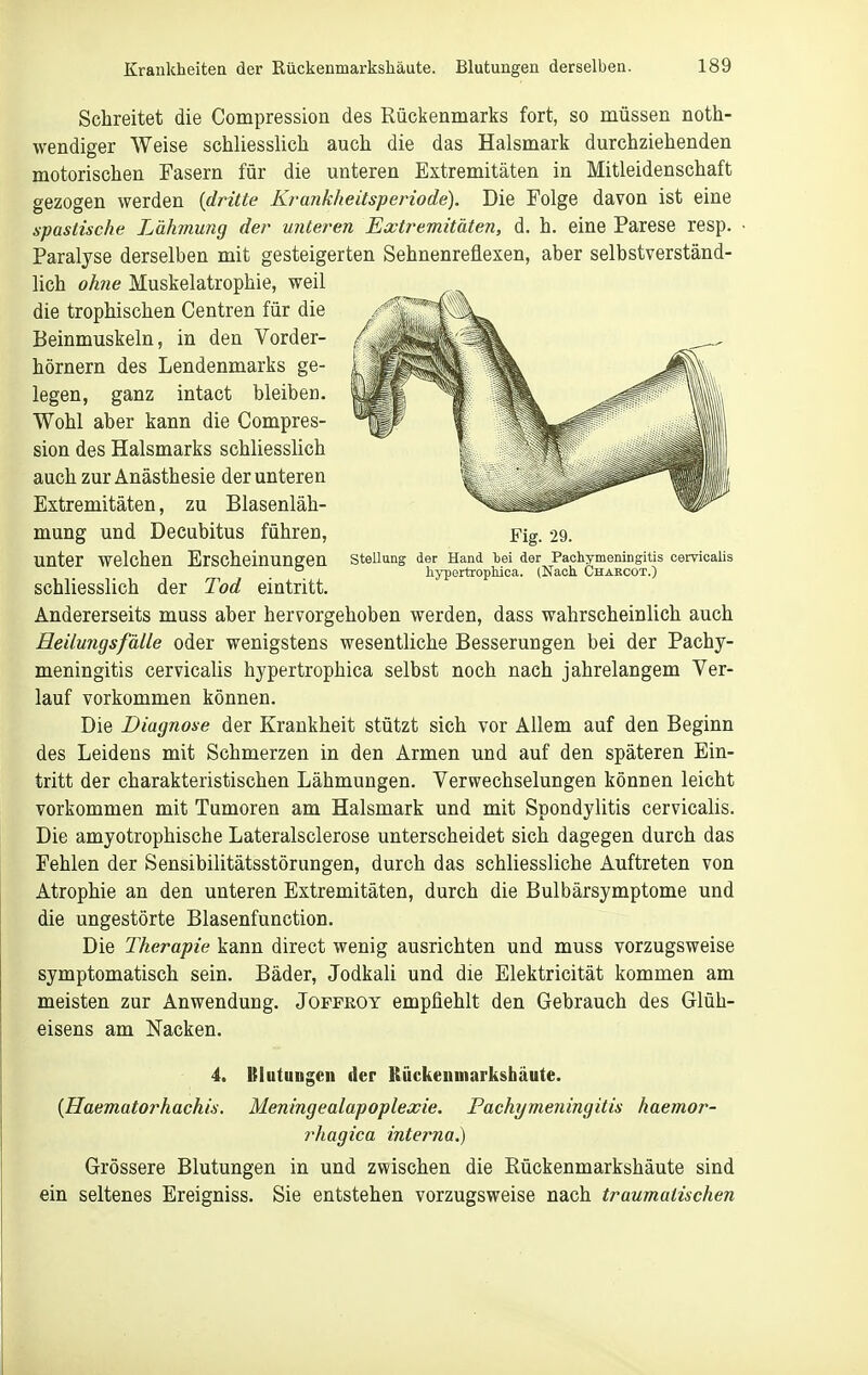 Schreitet die Compression des Rückenmarks fort, so müssen noth- wendiger Weise schliesslich auch die das Halsmark durchziehenden motorischen Fasern für die unteren Extremitäten in Mitleidenschaft gezogen werden {dritte Ki-ankheitsperiode). Die Folge davon ist eine spastische Lähmung der unteren Extremitäten, d. h. eine Parese resp. • Paralyse derselben mit gesteigerten Sehnenreflexen, aber selbstverständ- lich ohne Muskelatrophie, weil die trophischen Centren für die Beinmuskeln, in den Vorder- hörnern des Lendenmarks ge- legen, ganz intact bleiben. Wohl aber kann die Compres- sion des Halsmarks schliesslich auch zur Anästhesie der unteren Extremitäten, zu Blasenläh- mung und Decubitus führen, Fig. 29. unter welchen Erscheinungen SteUung der Hand bei der Pachymeningitis oervioalis ° hypertrophica. (Nach. Chakcot.) schliesslich der Tod eintritt. Andererseits muss aber hervorgehoben werden, dass wahrscheinlich auch Heilungsfälle oder wenigstens wesentliche Besserungen bei der Pachy- meningitis cervicalis hypertrophica selbst noch nach jahrelangem Ver- lauf vorkommen können. Die Diagnose der Krankheit stützt sich vor Allem auf den Beginn des Leidens mit Schmerzen in den Armen und auf den späteren Ein- tritt der charakteristischen Lähmungen. Verwechselungen können leicht vorkommen mit Tumoren am Halsmark und mit Spondylitis cervicalis. Die amyotrophische Lateralsclerose unterscheidet sich dagegen durch das Fehlen der Sensibilitätsstörungen, durch das schliessliche Auftreten von Atrophie an den unteren Extremitäten, durch die Bulbärsymptome und die ungestörte Blasenfunction. Die Therapie kann direct wenig ausrichten und muss vorzugsweise symptomatisch sein. Bäder, Jodkali und die Elektricität kommen am meisten zur Anwendung. Jopfroy empfiehlt den Gebrauch des Glüh- eisens am Nacken. 4. Blutungen der Kückeumarkshäute. {Haematorhachis. Meningealapoplexie. Pachymeningitis haemor- rhagica interna.) Grössere Blutungen in und zwischen die Eückenmarkshäute sind ein seltenes Ereigniss. Sie entstehen vorzugsweise nach traumatischen