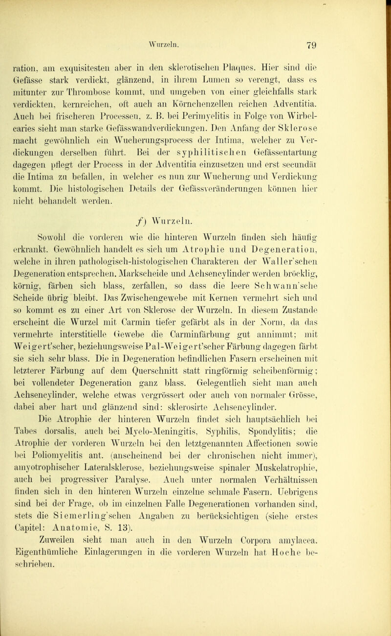 ration, am exquisitesten aber in den sklerotischen Plaques. Hier sind die Gefässe stark verdickt, glänzend, in ihrem Lumen so verengt, dass es mitunter zur ^rhrombose kommt, und umgeben von einer gleichfalls stark verdickten, kernreichen, oft auch an Körnchenzellen reichen Adventitia. Auch bei frischeren Processen, z. B. bei Perimyehtis in Folge von Wirbcl- caries sieht man starke Gefiisswandverdickungen. Den Anfang der Sklerose macht gewöhnlich ein Wucherungsprocess der Intima, welcher zu Ver- dickungen derselben führt. Bei der syphilitischen Gefässentartung dagegen pflegt der Process in der Adventitia einzusetzen und erst secundäi die Intima zu befallen, in welcher es nun zur Wucherung und Verdickung kommt. Die histologischen Details der Gefässveränderungen können hier nicht behandelt werden. f) Wurzeln. Sowohl die vorderen wie die hinteren Wurzeln finden sich häufig erkrankt. Gewöhnhch handelt es sich um Atrophie und Degeneration, welche in ihren pathologisch-histologischen Charakteren der WaHerrschen Degeneration entsprechen. Markscheide und Achsencylinder werden bröcklig, körnig, färben sich blass, zerfallen, so dass die leere Schwann\sche Scheide übrig bleibt. Das Zwischengewebe mit Kernen vermehrt sich und so kommt es zu einer Art von Sklerose der Wurzeln. In diesem Zustande erscheint die Wurzel mit Carmin tiefer gefärbt als in der isorm, da das vermehrte interstitielle Gewebe die Oarminflirbung gut annimmt; mit Weigert'scher, beziehungsweise Pal-Weigert'scher Färbung dagegen färbt sie sich sehr blass. Die in Degeneration befindlichen Fasern erscheinen mit letzterer Färbung auf dem Querschnitt statt ringförmig scheibenförmig; bei vollendeter Degeneration ganz blass. Gelegentlich sieht man auch Achsencylinder, welche etwas vergrössert oder auch von normaler Grösse, dabei aber hart und glänzend sind: sklerosirte Achsencylinder. Die Atrophie der hinteren Wurzeln findet sich hauptsächlich bei Tabes dorsalis, auch bei Myelo-Meningitis, Syphihs, Spondylitis; die Atrophie der vorderen W^urzeln bei den letztgenannten Alfectionen sowie bei Poliomyelitis ant. (anscheinend bei der chronischen nicht immer), amyotrophischer Lateralsklerose, beziehungsweise spinaler Muskelatrophie, auch bei progressiver Paralyse. Auch unter normalen Verhältnissen finden sich in den hinteren Wurzeln einzelne schmale Fasern. IJebrigens sind bei der Frage, ob im einzelnen Falle Degenerationen vorhanden sind, stets die Siemerling'schen Angaben zu berücksichtigen (siehe erstes Capitel: Anatomie, S. 13). Zuweilen sieht man auch in den Wurzeln Corpora amylacea. Bigenthümliche Einlagerungen in die vorderen Wurzeln hat Ho che be- schrieben.