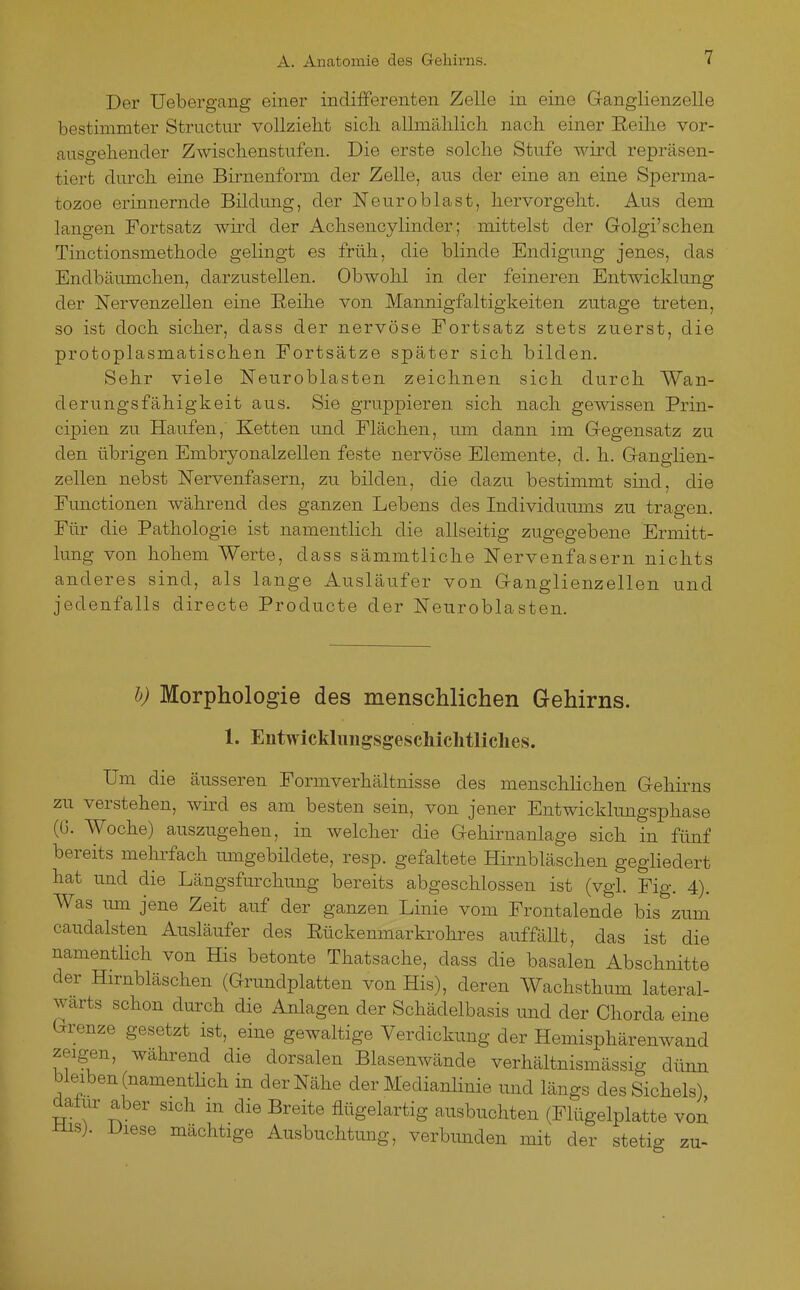 Der Uebergang einer indifferenten Zelle in eine Ganglienzelle bestimmter Struotur vollzielit sich allmählich nach einer Reihe vor- ausgehender Zwischenstufen. Die erste solche Stufe wird repräsen- tiert durch eine Birnenform der Zelle, aus der eine an eine Sperma- tozoe erinnernde Bildung, der Neuroblast, hervorgeht. Aus dem langen Fortsatz wird der Achsencylinder; mittelst der Golgi'schen Tinctionsmethode gelmgt es früh, die blinde Endigung jenes, das Endbäumchen, darzustellen. Obwohl in der feineren Entwicklung der Nervenzellen eine Reihe von Mannigfaltigkeiten zutage treten, so ist doch sicher, dass der nervöse Fortsatz stets zuerst, die protoplasmatischen Fortsätze später sich bilden. Sehr viele Neuroblasten zeichnen sich durch Wan- derungsfähigkeit aus. Sie gruppieren sich nach gewissen Prin- cipien zu Haufen, Ketten und Flächen, um dann im Gegensatz zu den übrigen Embryonalzellen feste nervöse Elemente, d. h. Ganglien- zellen nebst Nervenfasern, zu bilden, die dazu bestimmt sind, die Functionen während des ganzen Lebens des Individuums zu tragen. Für die Pathologie ist namentlich die allseitig zugegebene Ermitt- lung von hohem Werte, dass sämmtliche Nervenfasern nichts anderes sind, als lange Ausläufer von Ganglienzellen und jedenfalls directe Producte der Neuroblasten. h) Morphologie des menschlichen Gehirns. 1. Entwicklimgsgeschichtliclies. Um die äusseren Formverhältnisse des menschlichen Gehirns zu verstehen, wü-d es am besten sein, von jener Entwicklungsphase (ü. Woche) auszugehen, in welcher die Gehirnanlage sich in fünf bereits mehrfach umgebildete, resp. gefaltete Hirnbläschen gegliedert hat und die Längsfurchung bereits abgeschlossen ist (vgl. Fig. 4). Was um jene Zeit auf der ganzen Linie vom Frontalende bis'^zum caudalsten Ausläufer des Rückenmarkrohres auffällt, das ist die namentHch von His betonte Thatsache, dass die basalen Abschnitte der Hirnbläschen (Grundplatten von His), deren Wachsthum lateral- warts schon durch die Anlagen der Schädelbasis und der Chorda eine Grenze gesetzt ist, eine gewaltige Verdickung der Hemisphärenwand zeigen, während die dorsalen Blasenwände verhältnismässig dünn bleiben (namentHch in der Nähe der Medianlinie und längs des Sicheis) dalur aber sich in die Breite flügelartig ausbuchten (Flügelplatte von -tiis). Diese mächtige Ausbuchtung, verbunden mit der stetig zu-