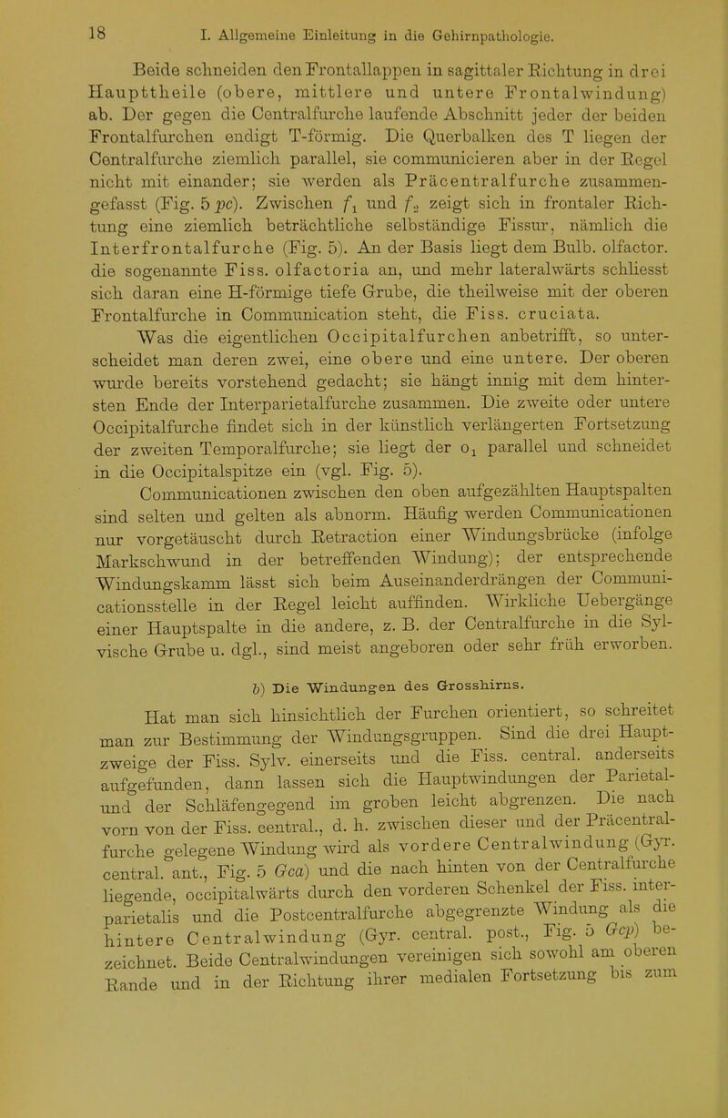 Beide schneiden den Frontallappen in sagittaler Richtung in drei Haupttheile (obere, mittlere und untere Frontalwindung) ab. Der gegen die Centralfurclie laufende Abschnitt jeder der beiden Frontalfurchen endigt T-förmig. Die Querbalken des T liegen der Centraifurche ziemlich parallel, sie communicieren aber in der Begel nicht mit einander; sie werden als Präcentraifurche zusammen- gefasst (Fig. 5pc). Zwischen und f,, zeigt sich in frontaler Rich- tung eine ziemlich beträchtliche selbständige Fissur, nämlich die Interfrontalfurche (Fig. 5). An der Basis liegt dem Bulb. olfactor. die sogenannte Fiss. olfactoria an, imd mehr lateralwärts schhesst sich daran eine H-förmige tiefe Grube, die theilweise mit der oberen Frontalfurche in Communication steht, die Fiss. cruciata. Was die eigentlichen Occipitalfurchen anbetrifft, so unter- scheidet man deren zwei, eine obere und eine untere. Der oberen wurde bereits vorstehend gedacht; sie hängt innig mit dem hinter- sten Ende der Interparietalfurche zusammen. Die zweite oder untere Occipitalfurche findet sich in der künstlich verlängerten Fortsetzung der zweiten Temporalfurche; sie liegt der Oj parallel und schneidet in die Occipitalspitze ein (vgl. Fig. 5). Communicationen zwischen den oben aufgezählten Hauptspalten sind selten und gelten als abnorm. Häufig werden Communicationen nur vorgetäuscht durch Retraction einer Windungsbrücke (infolge Markschwund in der betreffenden Windung); der entsprechende Windungskamm lässt sich beim Auseinanderdrängen der Communi- cationsstelle in der Eegel leicht auffinden. Wirkliche Uebergänge einer Hauptspalte in die andere, z. B. der Centraifurche in die Syl- vische Grube u. dgl., sind meist angeboren oder sehr früh erworben. ö) Die Windungen des Grossliirns. Hat man sich hinsichtlich der Furchen orientiert, so schreitet man zur Bestimmung der Windungsgruppen. Sind die di^ei Haupt- zweige der Fiss. Sylv. einerseits imd die Fiss. central, anderseits aufgefunden, dann lassen sich die Hauptwindungen der Parietal- nnd der Schläfengegend im groben leicht abgrenzen. Die nach vorn von der Fiss. central., d. h. zwischen dieser und der Präcentral- furche o-elegene AVindung wird als vordere Centralwmdung (Gjt. central, ant., Fig. 5 Gca) und die nach hinten von der Centralfm'che liegende, occipitalwärts durch den vorderen Schenkel der Fiss. mter- parietalis und die Postcentraifurche abgegrenzte AVmdimg als die hintere Centraiwindung (Gyr. central, post., Fig. d Ocp) be- zeichnet. Beide Centraiwindungen vereinigen sich sowohl am oberen Rande und in der Richtung ihrer medialen Fortsetzung bis zum