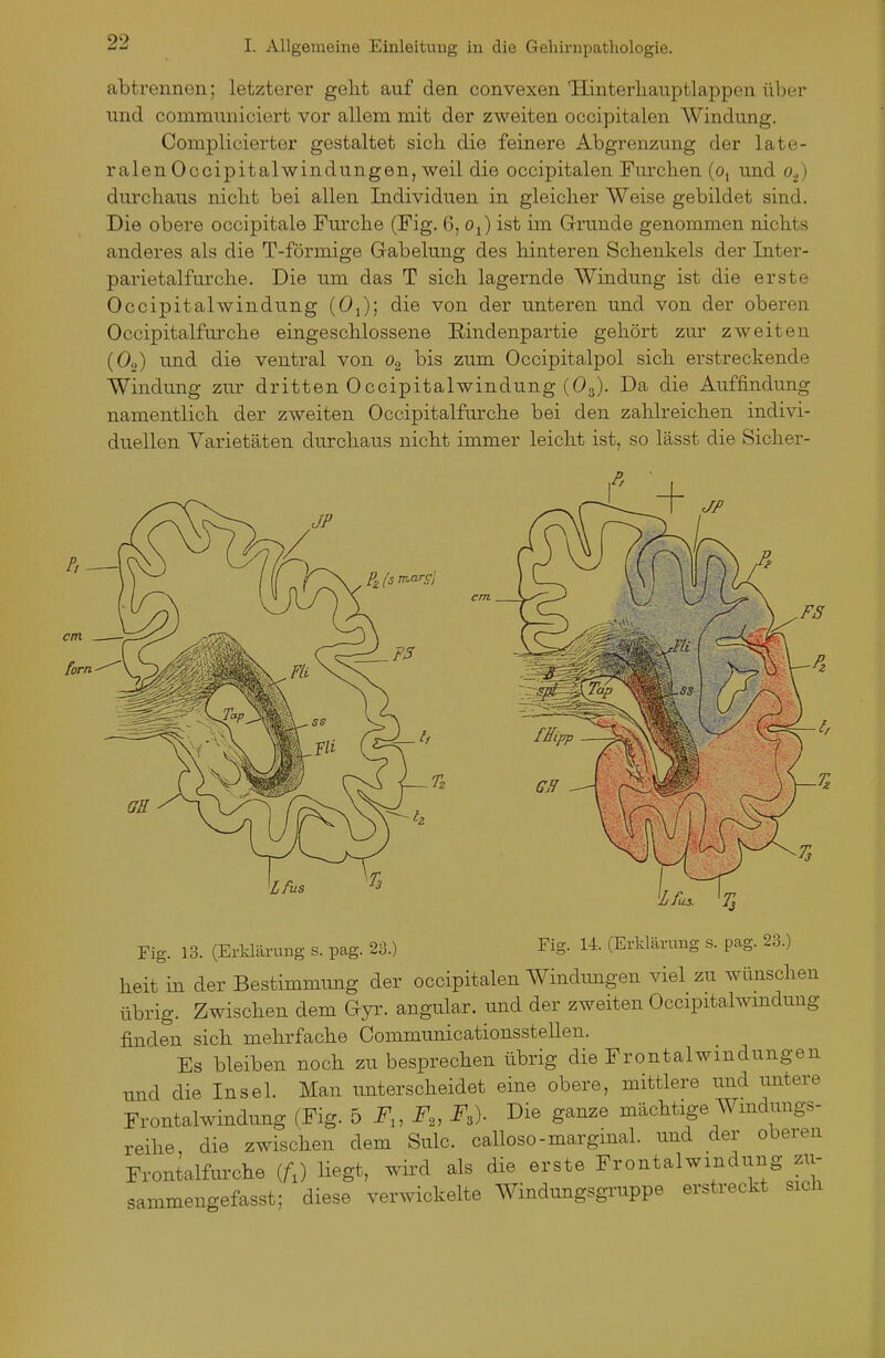 abtrennen; letzterer gelit auf den convexen 'Hinterhauptlappen über und communiciert vor allem mit der zweiten occipitalen Windung. Complioierter gestaltet sich die feinere Abgrenzung der late- ralen Ocoipitalwindungen, weil die occipitalen Furchen (o, und o.^) durchaus nicht bei allen Individuen in gleicher Weise gebildet sind. Die obere occipitale Furche (Fig. 6, ist im Grrunde genommen nichts anderes als die T-förmige Gabelung des hinteren Schenkels der Inter- parietalfurche. Die um das T sich lagernde Windung ist die erste Occipitalwindung (Oj); die von der unteren und von der oberen Occipitalfurche eingeschlossene Rindenpartie gehört zur zweiten (Oo) und die ventral von Og bis zum Occipitalpol sich erstreckende Windung zur dritten 0ccipitalwindung (O3). Da die Auffindung namentlich der zweiten Occipitalfurche bei den zahlreichen indivi- duellen Varietäten durchaus nicht immer leicht ist, so lässt die Sicher- Lfus Fig. 13. (Erklärung s. pag. 23.) Fig. 14. (Erklärung s. pag. 23.) heit in der Bestimmung der occipitalen Windmigen viel zu wünschen übrig. Zwischen dem Gyr. angular. und der zweiten Occipitalwmdung finden sich mehrfache Communicationsstellen. Es bleiben noch zu besprechen übrig die Frontalwindungen und die Insel. Man unterscheidet eine obere, mittlere und imtere Frontalwindung (Fig. 5 F,, F„ F,). Die ganze mächtige Wmdungs- reihe die zwischen dem Sulc. calloso-marginal, imd der oberen Frontalfurche (A) liegt, wird als die erste Frontalwindung zu- sammengefasst; diese verwickelte Windungsgruppe erstreckt sicli