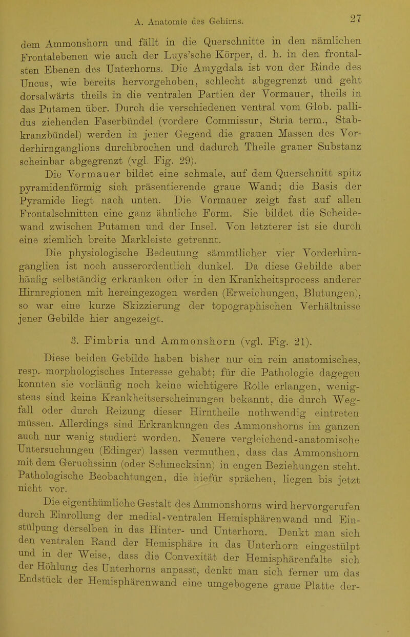 dem Ammonsliorn und fällt in die Quersclinitte in den nämliclien Frontalebenen wie aucli der Luys'sclie Körper, d. Ii. in den frontal- sten Ebenen des Unterhorns. Die Amygdala ist von der Rinde des Uncus, wie bereits hervorgehoben, schlecht abgegrenzt und geht dorsalwärts theils in die ventralen Partien der Vormauer, theils in das Putamen über. Durch die verschiedenen ventral vom Glob. palli- dus ziehenden Faserbmidel (vordere Commissur, Stria term., Stab- kranzbündel) werden in jener Gegend die grauen Massen des Vor- derliirngangiions durchbrochen und dadurch Theile grauer Substanz scheinbar abgegrenzt (vgl. Fig. 29). Die Vormauer bildet eine schmale, auf dem Querschnitt spitz pyramidenförmig sich präsentierende graue Wand; die Basis der Pyramide liegt nach unten. Die Vormauer zeigt fast auf allen Frontalschnitten eine ganz ähnliche Form. Sie bildet die Scheide- wand zwischen Putamen und der Insel. Von letzterer ist sie durch eine ziemlich breite Markleiste getrennt. Die physiologische Bedeutung sämmtlicher vier Vorderhirn- ganglien ist noch ausserordentlich dunkel. Da diese Gebilde aber häufig selbständig erkranken oder in den Krankheitsprocess anderer Hirnregionen mit hereingezogen werden (Erweichungen, Blutungen), so war eine koi'ze Skizzierung der topographischen Verhältnisse jener Gebilde hier angezeigt. 3. Fimbria und Ammonshorn (vgl. Fig. 21). Diese beiden Gebilde haben bisher nur ein rein anatomisches, resp. morphologisches Interesse gehabt; für die Pathologie dagegen konnten sie vorläufig noch keine wichtigere EoUe erlangen, wenig- stens sind keine Krankheitserscheinungen bekannt, die durch Weg- fall oder durch Reizung dieser Hirntheile nothwendig eintreten müssen. Allerdings sind Erkrankungen des Ammonshorns im ganzen auch nur wenig studiert worden. Neuere vergleichend-anatomische Untersuchungen (Edinger) lassen vermuthen, dass das Ammonshorn mit dem Geruchssinn (oder Schmecksinn) in engen Beziehungen steht. Pathologische Beobachtungen, die hiefür sprächen, liegen bis jetzt nicht vor. Die eigenthümliche Gestalt des Ammonshorns wird hervorgerufen dm-ch Einrollung der medial-ventralen Hemisphärenwand und Ein- stülpung derselben in das Hinter- und Unterhorn. Denkt man sich den ventralen Rand der Hemisphäre in das Unterhorn eingestülpt und m der Weise, dass die Convexität der Hemisphärenfalte sich der Hohlimg des Unterhorns anpasst, denkt man sich ferner um das Jindstuck der Hemisphärenwand eine umgebogene graue Platte der-