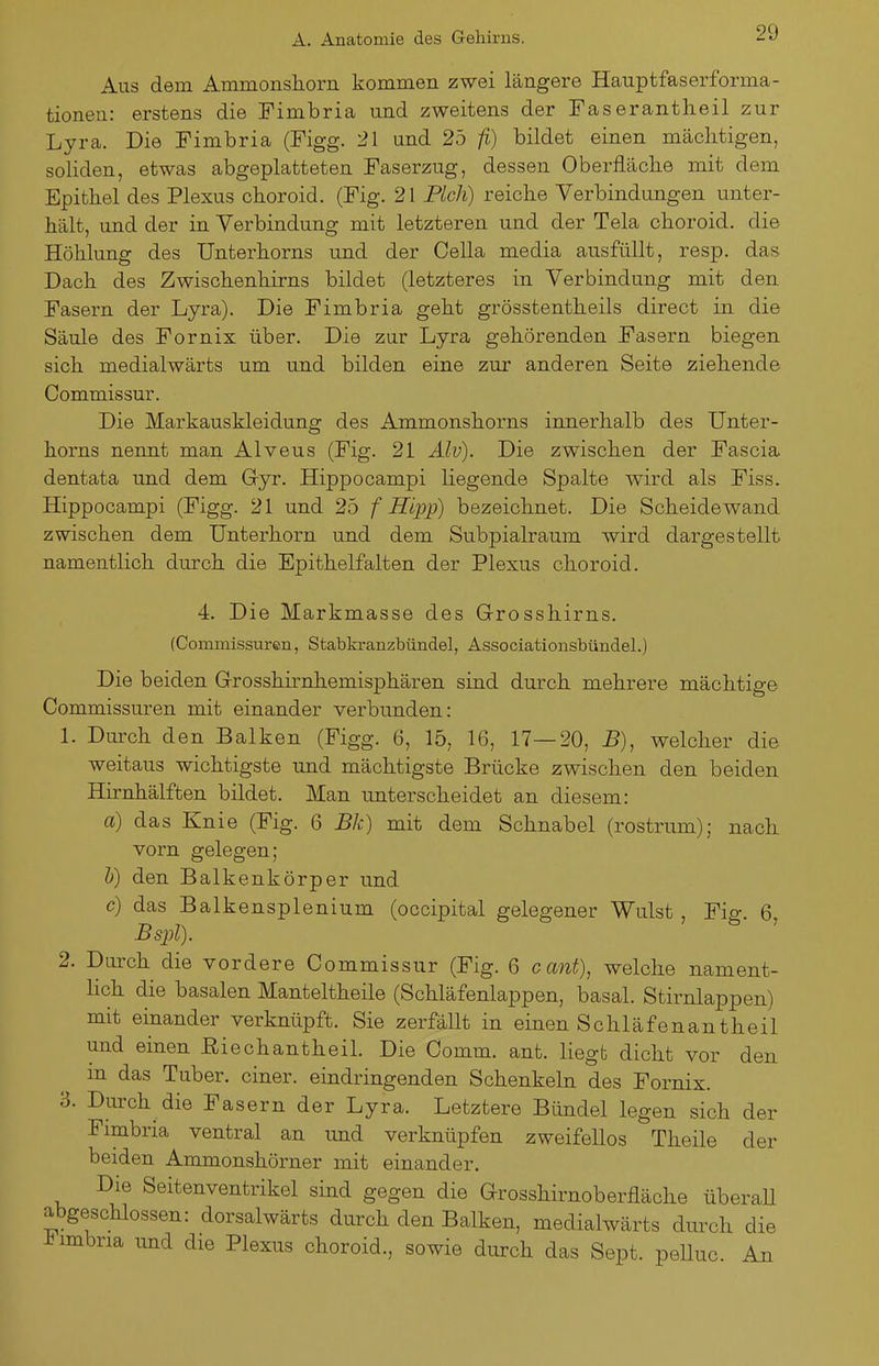 Aus dem Ammonshorn kommen zwei längere Hauptfaserforma- tionen: erstens die Fimbria und zweitens der Faserantheil zur Lyra. Die Fimbria (Figg. 21 und 25 fi) bildet einen mächtigen, soliden, etwas abgeplatteten Faserzug, dessen Oberfläche mit dem Epithel des Plexus choroid. (Fig. 21 Fleh) reiche Verbindungen unter- hält, und der in Verbindung mit letzteren und der Tela choroid. die Höhlung des Unterhorns und der Cella media ausfüllt, resp. das Dach des Zwischenhirns bildet (letzteres in Verbindung mit den Fasern der Lyra). Die Fimbria geht grösstentheils direct in die Säule des Fornix über. Die zur Lyra gehörenden Fasern biegen sich medialwärts um und bilden eine zur anderen Seite ziehende Commissur. Die Markauskleidung des Ammonshorns innerhalb des Unter- horns nennt man Alveus (Fig. 21 Alv). Die zwischen der Fascia dentata und dem G-yr. Hippocampi liegende Spalte wird als Fiss. Hippocampi (Figg. 21 und 25 f Hipp) bezeichnet. Die Scheidewand zwischen dem Unterhorn und dem Subpialraum wird dargestellt namentlich durch die Epithelfalten der Plexus choroid. 4. Die Markmasse des Grosshirns. (Commissuren, Stabkranzbündel, Associationsbündel.) Die beiden Grosshirnhemisphären sind durch mehrere mächtige Commissuren mit einander verbunden: 1. Durch den Balken (Figg. 6, 15, 16, 17—20, B), welcher die weitaus wichtigste und mächtigste Brücke zwischen den beiden Hirnhälften bildet. Man unterscheidet an diesem: a) das Knie (Fig. 6 Bk) mit dem Schnabel (rostrum); nach vorn gelegen; Ii) den Balkenkörper und c) das Balkensplenium (occipital gelegener Wulst Fie; 6 Bspl). ' 2. Durch die vordere Commissur (Fig. 6 cant), welche nament- Hch die basalen Manteltheile (Schläfenlappen, basal. Stirnlappen) mit einander verknüpft. Sie zerfällt in einen Schläfen an theil und einen Eiechantheil. Die Comm. ant. liegt dicht vor den m das Tuber. einer, eindringenden Schenkeln des Fornix. 3. Durch die Fasern der Lyra. Letztere Bündel legen sich der Fimbria ventral an und verknüpfen zweifellos Theile der beiden Ammonshörner mit einander. Die Seitenventrikel sind gegen die Grosshirnoberfläche überaU abgeschlossen: dorsalwärts durch den Balken, medialwärts durch die J^imbria imd die Plexus choroid., sowie durch das Sept. pelluc An