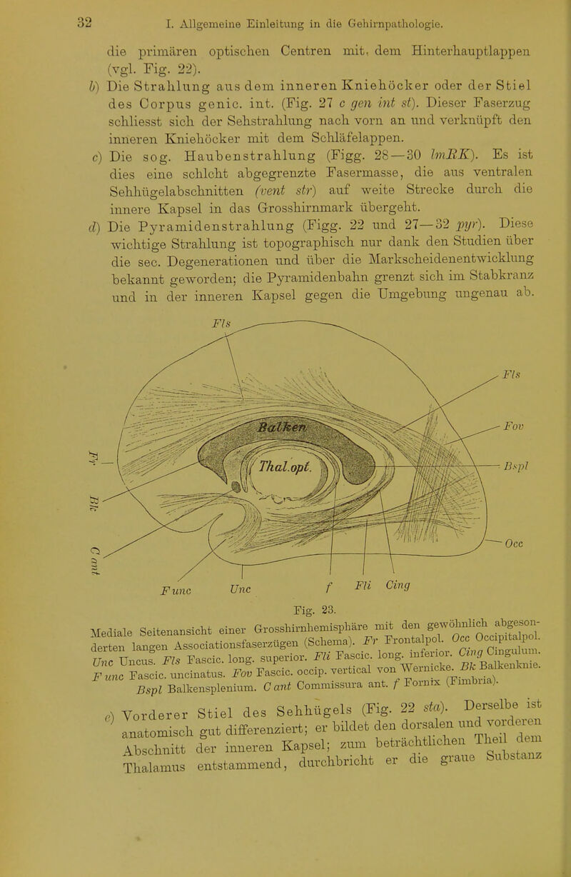 die primären optischen Centren mit, dem Hinterliauptlappen (vgl. Fig. 22). b) Die Strahlung ans dem inneren Kniehöcker oder der Stiel des Corpus genic. int. (Fig. 27 c gen int st). Dieser Faserzug schliesst sich der Sehstrahlung nach vorn an und verknüpft den inneren Kniehöcker mit dem Schläfelappen. c) Die sog. Haubenstrahlung (Figg. 28 — 30 ImBK). Es ist dies eine schlcht abgegrenzte Fasermasse, die aus ventralen Sehhügelabschnitten (ve7it str) auf weite Strecke durch die innere Kapsel in das Grosshirnmark übergeht. d) Die Pyramidenstrahlung (Figg. 22 imd 27—32 2W)- I^iese wichtige Stralilung ist topographisch nur dank den Studien über die sec. Degenerationen imd über die Markscheidenentwicklung bekannt geworden; die Pyramidenbahn grenzt sich im Stabkranz und in der inneren Kapsel gegen die Umgebung ungenau ab. FIs Fls Fov Bspl Occ Func Unc f Fli Ging Fig. 23. Mediale Seitenansicht einer Grosshirnhemisphäre mit den ähnlich abg^^^^^^^^^ derten langen Associationsfaserzügen (Schema). ^^^^^^^^^^.^^^ Unc Uncu?. Fls Fascic. long, superior. Fh Fascrc long-^fer or ^^^ Cm^^^m. F unc Fascic. uncinatus. Fov Fascic. occip. vertical von Wern cke^ 5/. BalLenkme. Bspl Balkensplenium. Gant Commissura ant. / Fonnx (F.mbrxa). Vorderer Stiel des Sehhügels (Fig. 22 .to)- Derselbe ist Inatomisch gut differenziert; er bildet den dorsalen -d vorde..n Abschnitt der inneren Kapsel; zum betrachthchen M de.n Thalamus entstammend, durchbricht er die graue Substanz