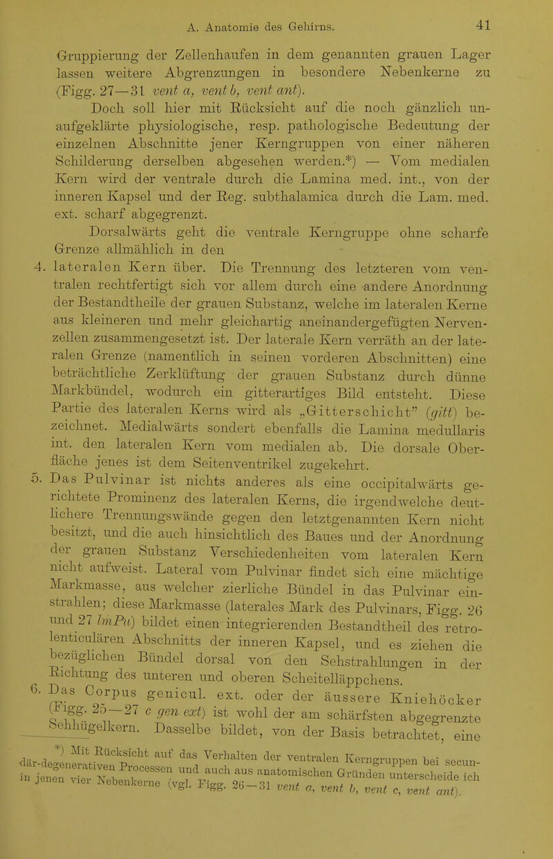Gruppierung der Zellenliaufen in dem genannten grauen Lager lassen weitere Abgrenzungen in besondere Nebenkerne zu (Figg. 27—31 venia, ventb, vent ant). Doch, soll liier mit Rücksiclit auf die nocli gänzlicli un- aufgeklärte pliysiologisclie, resp. patliologisclie Bedeutung der einzelnen Abschnitte jener Kerngruppen von einer näheren Schilderung derselben abgesehen werden.*) — Vom medialen Kern wird der ventrale durch die Lamina med. int., von der inneren Kapsel und der Reg. subthalamica dm-ch die Lam. med. ext. scharf abgegrenzt. Dorsalwärts geht die ventrale Kerngruppe ohne scharfe Grrenze allmählicli in den 4. lateralen Kern über. Die Trennung des letzteren vom ven- tralen rechtfertigt sich vor allem durch eine -andere Anordnung der Bestandtheile der grauen Substanz, welche im lateralen Kerne aus kleineren und mehr gleichartig aneinandergefügten Nerven- zellen zusammengesetzt ist. Der laterale Kern verräth an der late- ralen Grenze (namentlich in seinen vorderen Abschnitten) eine beträchtliche Zerklüftung der grauen Substanz durch dünne Markbündel, wodurch ein gitterartiges Bild entsteht. Diese Partie des lateralen Kerns wird als „Gitterschicht {gitt) be- zeichnet. Medialwärts sondert ebenfalls die Lamina meduUaris mt. den lateralen Kern vom medialen ab. Die dorsale Ober- fläche jenes ist dem Seitenventrikel zugekehrt. 5. Das Pulvinar ist nichts anderes als eine occipitalwärts ge- richtete Prominenz des lateralen Kerns, die irgendwelche deut- lichere Trennungswände gegen den letztgenannten Kern nicht besitzt, imd die auch hinsichthch des Baues und der Anordnung der grauen Substanz Verschiedenheiten vom lateralen Kern nicht aufweist. Lateral vom Piüvinar findet sich eine mächtige Markmasse, aus welcher zierliche Bündel in das Pulvinar ein- strahlen; diese Markmasse (laterales Mark des Pulvinars, Figg. 26 und 27 ImPii) bildet einen integrierenden Bestandtheil des retro- lenticulären Abschnitts der inneren Kapsel, und es ziehen die bezuglichen Bündel dorsal von den Sehstrahhmgen in der Eichtuug des imteren und oberen Scheitelläppchens. 6. Das Corpus genicuL ext. oder der äussere Kniehöcker (i^gg. 20-27 G gen ext) ist wohl der am schärfsten abgegrenzte _Selihugelkern. Dasselbe bildet, von der Basis betrachtet, eine 'lä-leri.^i\S^^^^ 1''^ ^^^^'^^^^ Ken.gruppen bei secun- i ien:^ ~ ^r^gh^'^sTT ^^^^ ^^a'^- ^^^a- ^0 öi vent a, vent h, vent c, vent ant).