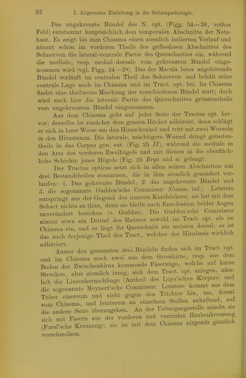 Das ungekreuzte Bündel des N. opt. (Figg. 34—38, rothes Feld) entstammt liauptsächlicli dem temporalen Absclmitte der Netz- haut. Es zeigt bis zum Ckiasma einen ziemlich isolierten Verlauf und nimmt schon im vorderen Theile des gefässlosen Abschnittes des Sehnerven die lateral-ventrale Partie des Querschnittes ein, während die mediale, resp. medial-dorsale vom gekreuzten Bündel eiuge- nommen wird (vgl. Figg. 34—38). Das der Macula lutea angehörende Bündel verläuft im centralen Theil des Sehnerven und behält seine centrale Lage auch im Chiasma und im Tract. opt. bei. Im Chiasma findet eine theilweise Mischung der verschiedenen Bündel statt; doch wird auch hier die laterale Partie des Querschnittes grösstentheils vom ungekreuzten Bündel eingenommen. Aus dem Chiasma geht auf jeder Seite der Tractus opt. her- vor; derselbe ist zunächst dem grauen Höcker adhärent, dann schlägt er sich in loser Weise um den Hirnschenkel und tritt mit zwei Wurzeln in den Hirnstamm. Die laterale, mächtigere Wurzel dringt grössten- theils in das Corpus gen. ext. (Fig. 25 II), während die mediale in den Arm des vorderen Zweihügels imd mit diesem in die oberfläch- liche Schichte jenes Hügels (Fig. 25 Brq^a und a) gelangt. Der Tractus opticus setzt sich in allen seinen Abschnitten aus drei Bestandtheilen zusammen, die in ihm ziemlich gesondert ver- laufen: 1. Das gekreuzte Bündel, 2. das ungekreuzte Bündel und 3. die sogenannte Gudden'sche Commissur (Comm. inf.). Letztere entspringt aus der Gegend des inneren .Kniehöckers; sie hat mit dem Sehact nichts zu thun, denn sie bleibt nach Enucleation beider Augen unverändert bestehen (v. Gudden). Die Gudden'sche Commissur nimmt etwa ein Drittel des Raumes sowohl im Tract. opt. als mi Chiasma ein, und es liegt ihr Querschnitt am meisten dorsal; es ist das auch derjenige Theil des Tract., welcher der Hirnbasis wirklich adhäriert. . ■, • m j. i. Ausser den genannten drei. Bündeln finden sich im Tract. opt. und im Chiasma noch zwei aus dem Grosshirne, resp. aus dem Boden des Zwischenhirns kommende Faserzüge, welche aut kurze Strecken, aber ziemlich innig, sich dem Tract. opt. anlegen, näm- lich die Linsenkernschlinge (Antheil des Luys'schen Körpers) und die sogenannte Meynert'sohe Commissm^ Letztere kommt aus dem Tuber cinereum und zieht gegen den Trichter hm, um, dorsal vom Chiasma, mid letzterem an einzelnen Stellen anhaftend auf die andere Seite überzugehen. An der UebergangssteUe mischt sie sil^t Fasern aus der vorderen und ventralen Haubenkreuzung (Forel'sche Ki^euzung); sie ist mit dem Chiasma nirgends gänzlich verschmolzen.