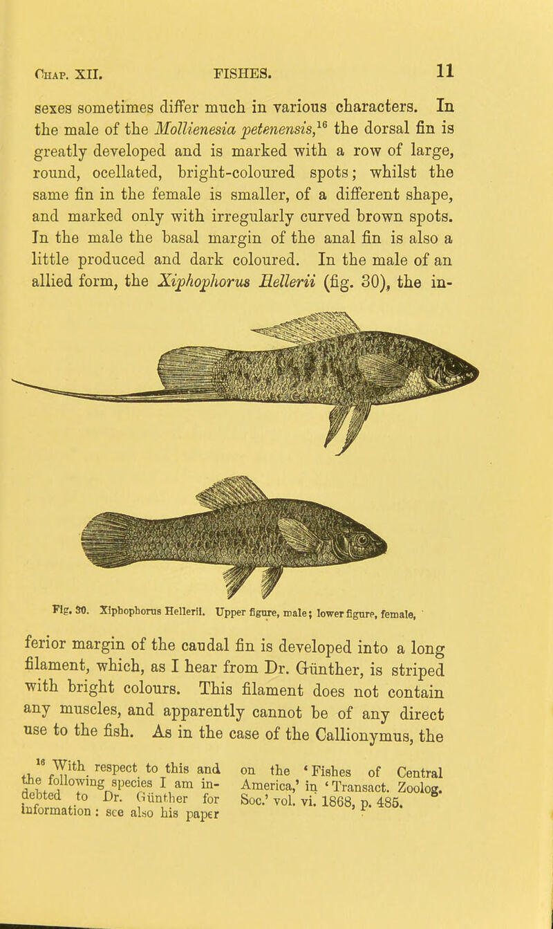 sexes sometimes differ much in various characters. In the male of the MoIUenesia petenensis,^^ the dorsal fin is greatly developed and is marked with a row of large, round, ocellated, bright-coloured spots; whilst the same fin in the female is smaller, of a different shape, and marked only with irregularly curved brown spots. In the male the basal margin of the anal fin is also a little produced and dark coloured. In the male of an allied form, the Xij^hophorus Rellerii (fig. 30), the in- Flg. so. Xiphopbonis Helleril. Upper figure, male; lower figure, female, ferior margin of the caudal fin is developed into a long filament, which, as I hear from Dr. Giinther, is striped with bright colours. This filament does not contain any muscles, and apparently cannot be of any direct use to the fish. As in the case of the Callionymus, the  With respect to this and on the 'Fishes of Central the following species I am in- America,' in 'Transact. Zoolog. debted to Dr. Uiinther for Soc'vol. vi. 1868, p. 485. Information : see also his paper ^